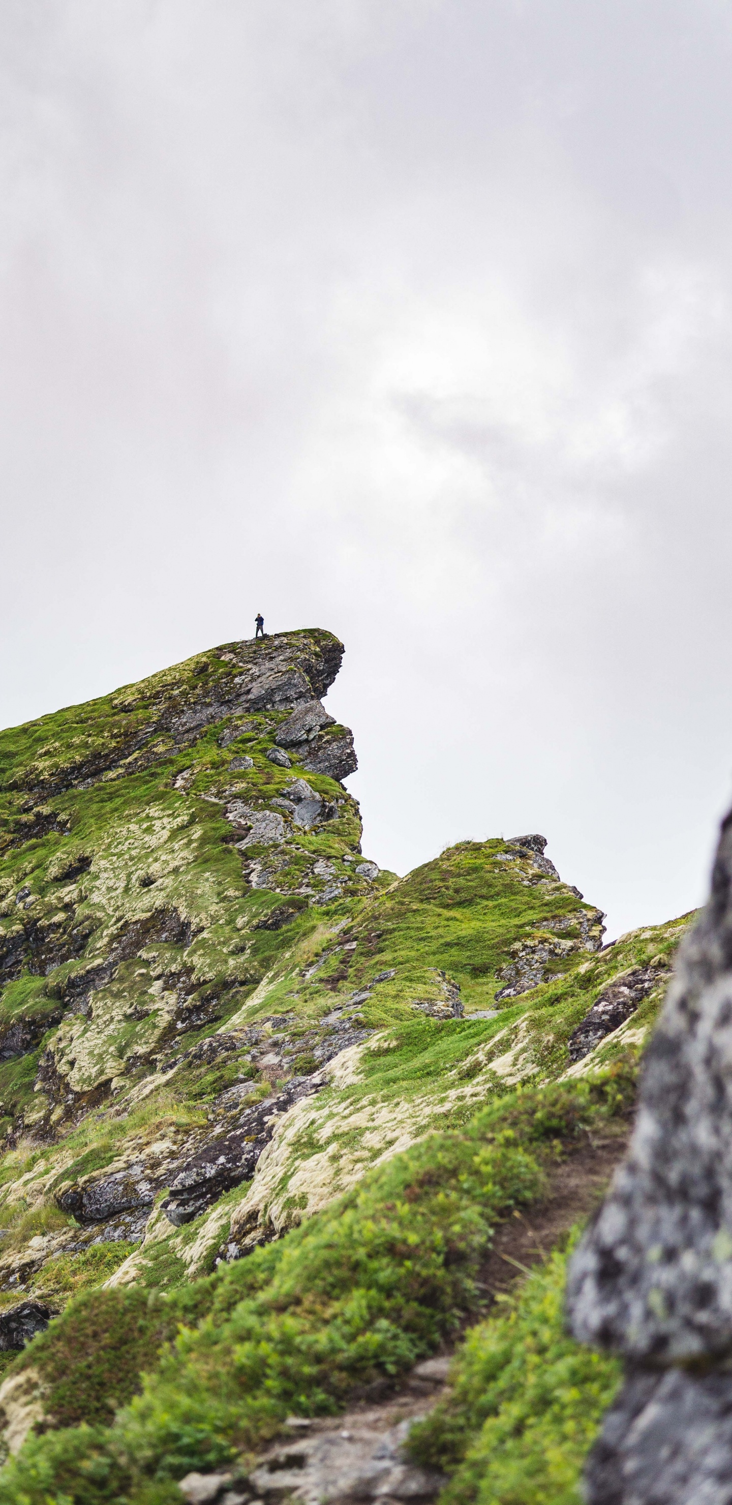 Sky, Vegetation, Mountainous Landforms, Green, Rock. Wallpaper in 1440x2960 Resolution