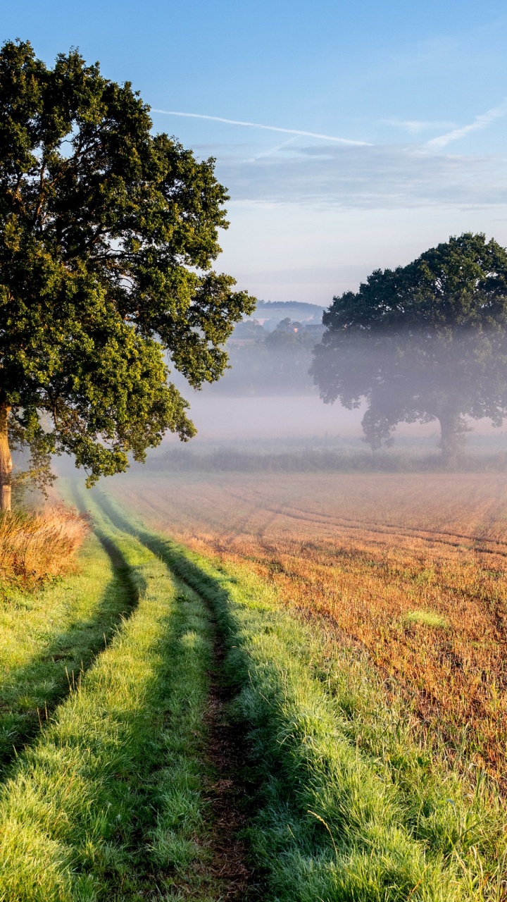 L'écorégion, Paysage Naturel, Les Gens Dans la Nature, Les Terres Beaucoup. Wallpaper in 720x1280 Resolution