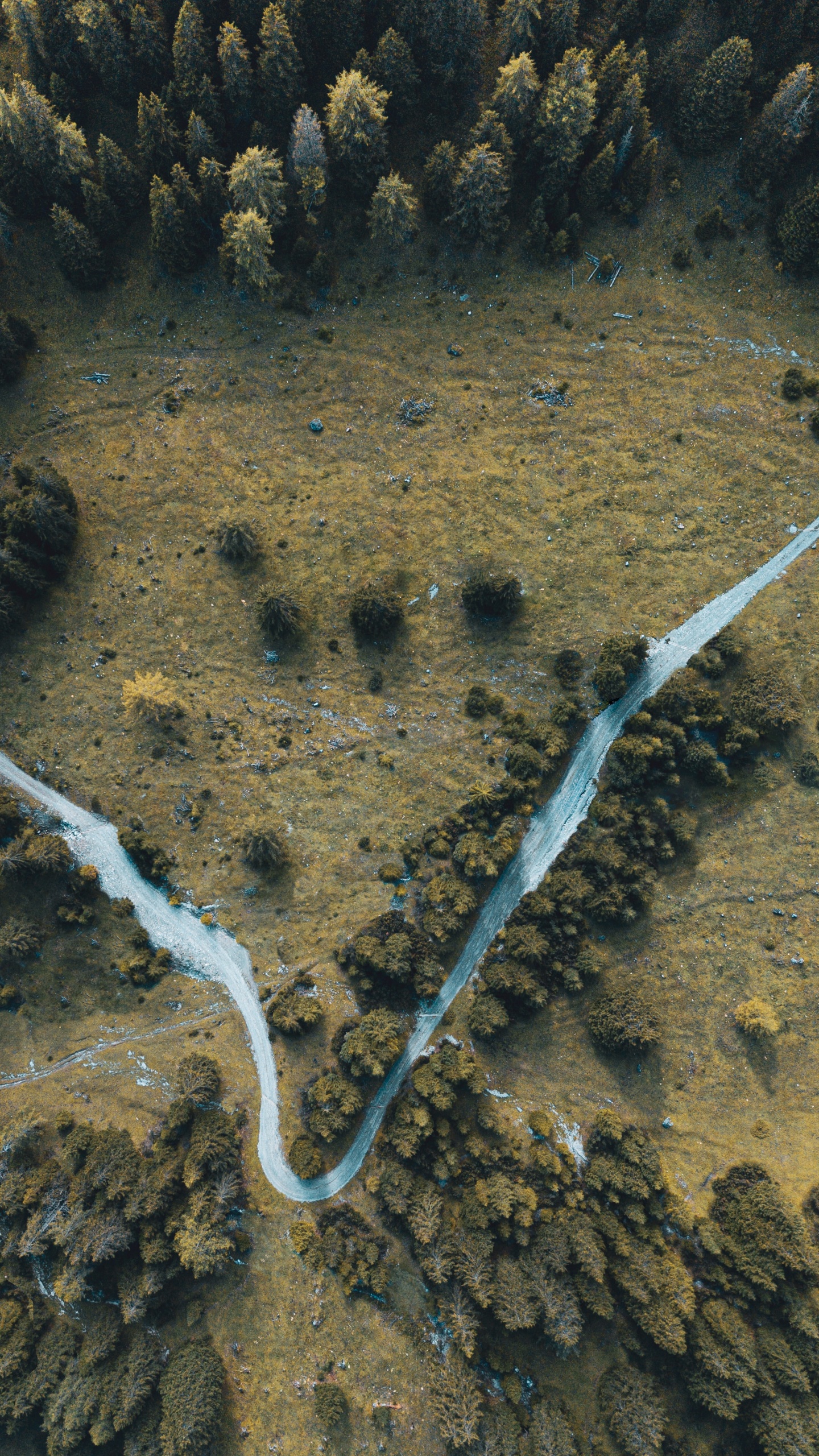 Birds Eye View, Boden, Vulkanfeld, Erde, Geologie. Wallpaper in 1440x2560 Resolution