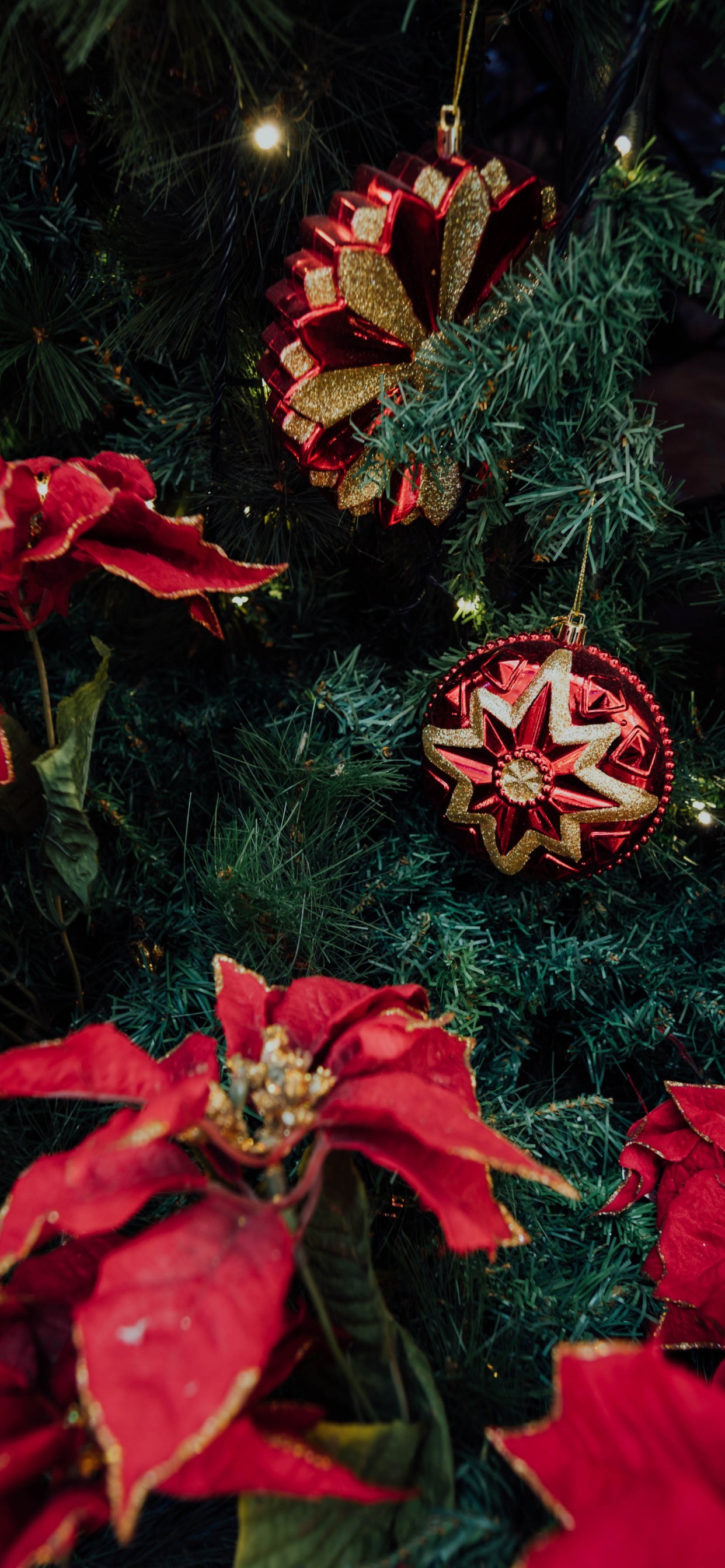 Fleurs Rouges et Jaunes Avec Des Feuilles Vertes. Wallpaper in 1242x2688 Resolution