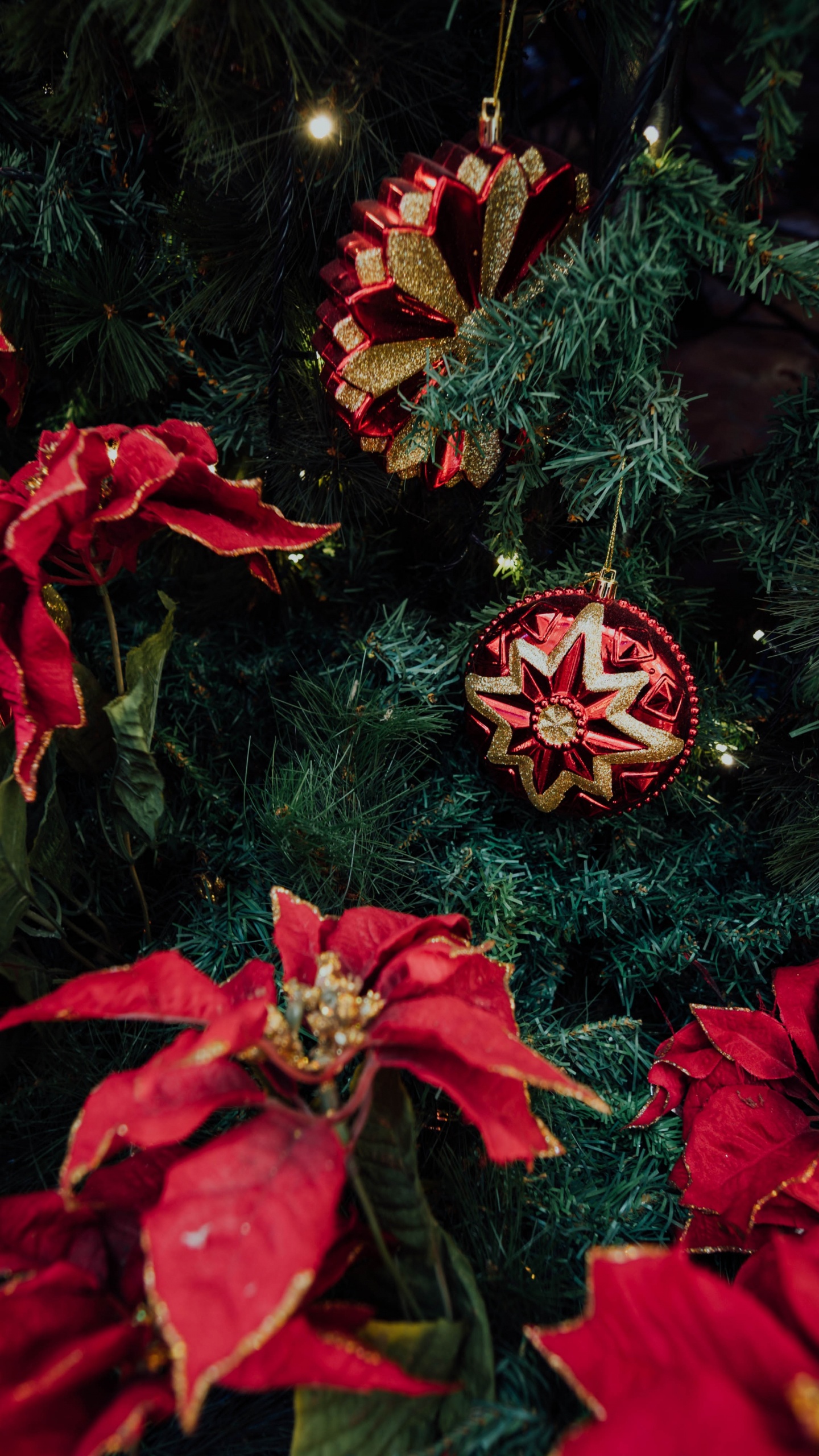 Fleurs Rouges et Jaunes Avec Des Feuilles Vertes. Wallpaper in 1440x2560 Resolution