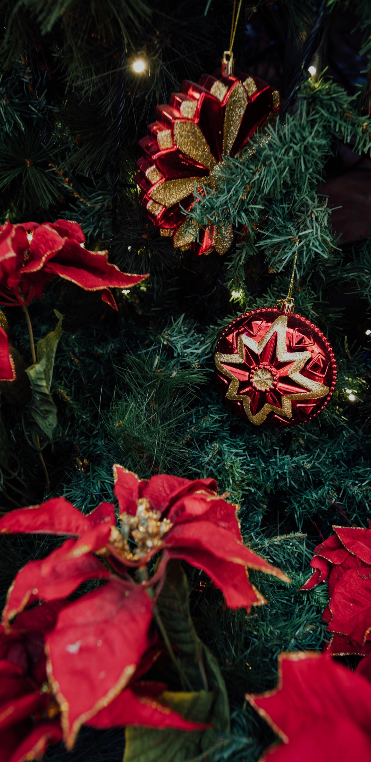 Red and Yellow Flowers With Green Leaves. Wallpaper in 1440x2960 Resolution