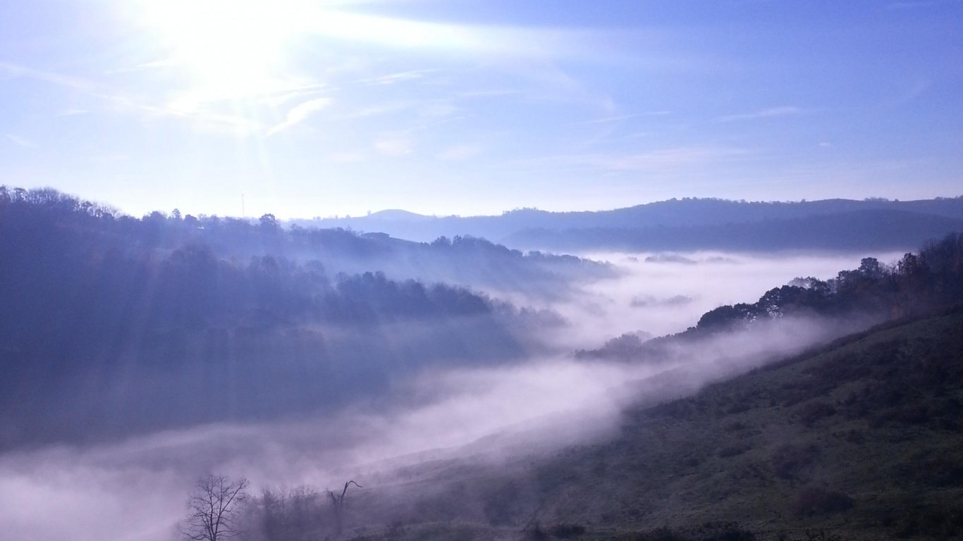 Tagsüber Grüne Wiese Unter Blauem Himmel. Wallpaper in 1366x768 Resolution