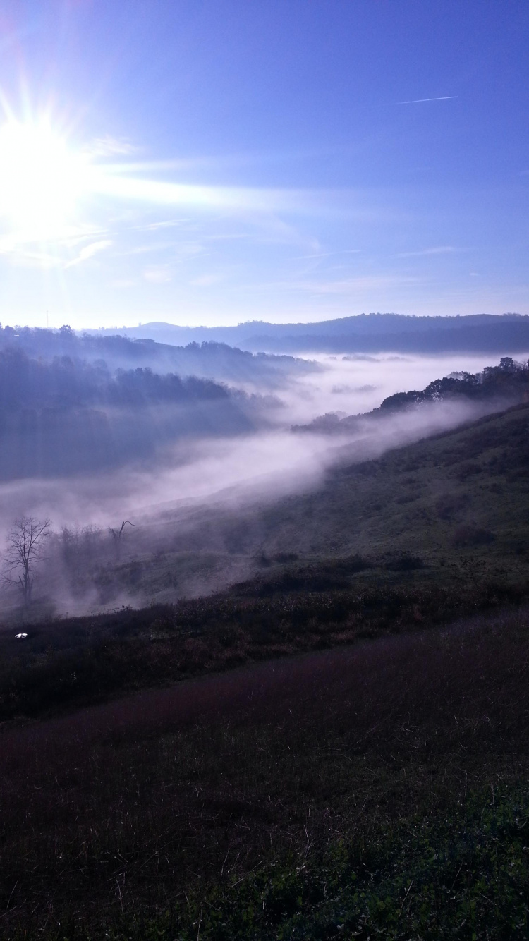 Tagsüber Grüne Wiese Unter Blauem Himmel. Wallpaper in 750x1334 Resolution