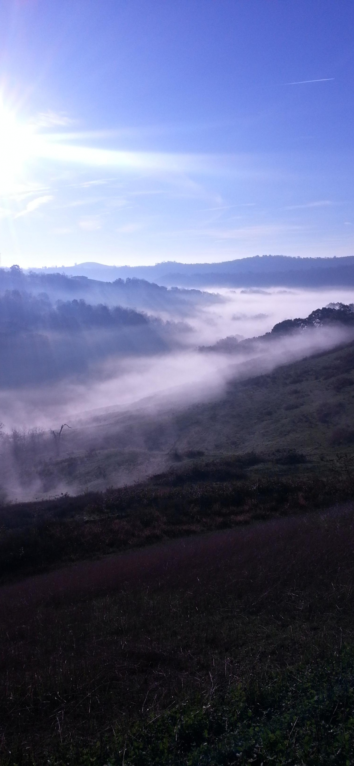 Green Grass Field Under Blue Sky During Daytime. Wallpaper in 1242x2688 Resolution