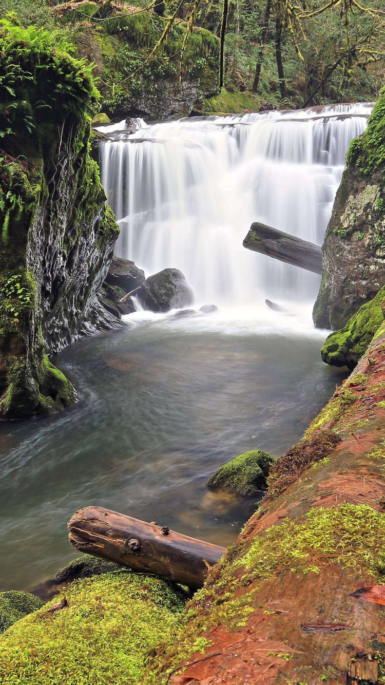 el Agua Cae en Medio Del Bosque. Wallpaper in 750x1334 Resolution