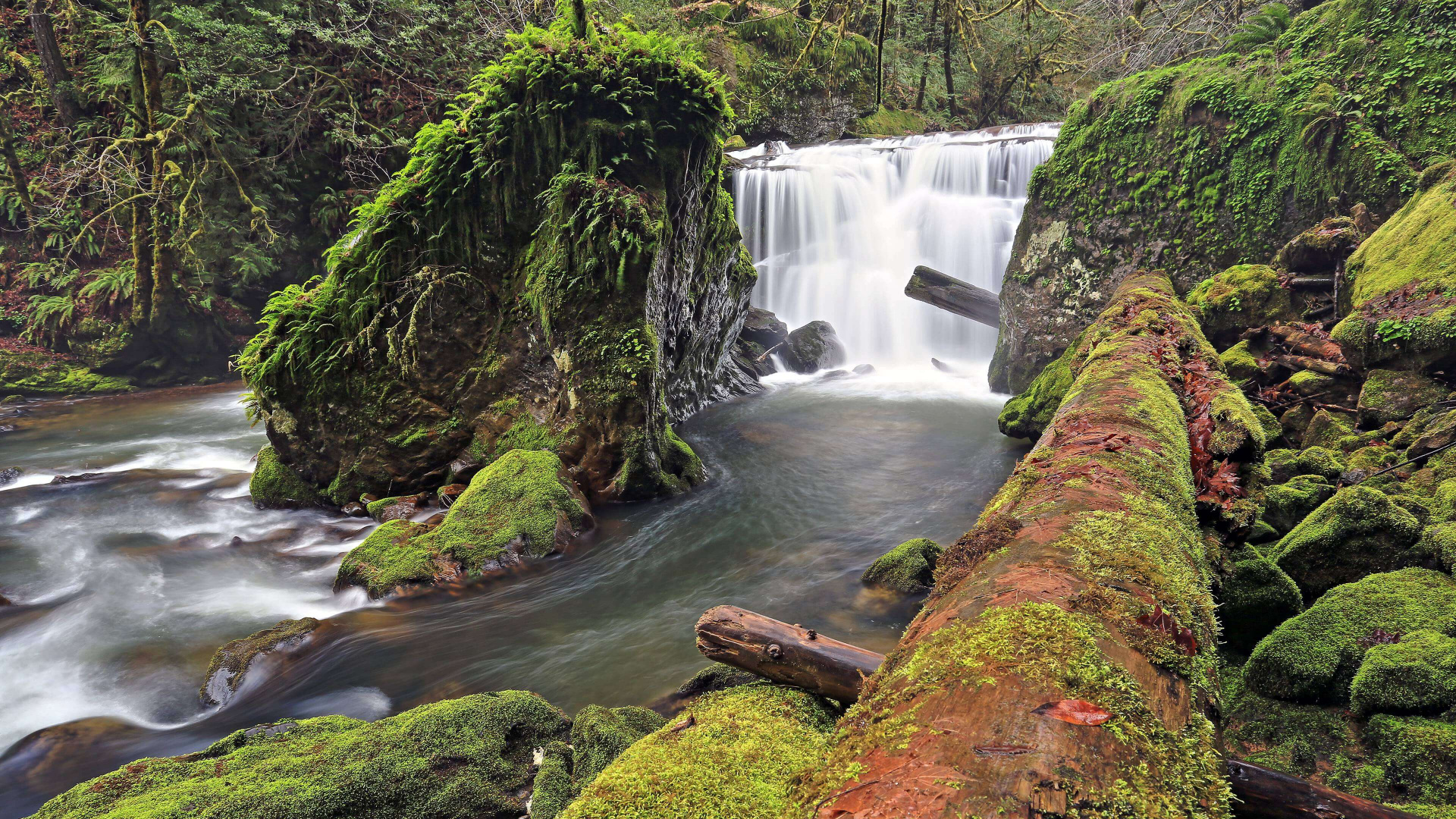 Water Falls in The Middle of The Forest. Wallpaper in 1920x1080 Resolution
