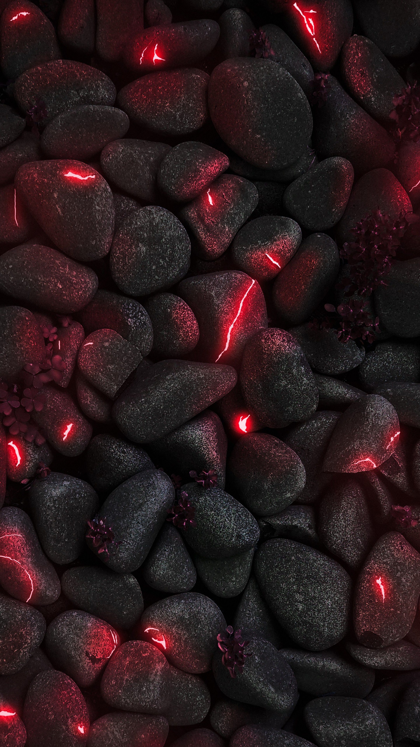 Smartphone, Automotive Tire, Automotive Lighting, Liquid, Red. Wallpaper in 1440x2560 Resolution