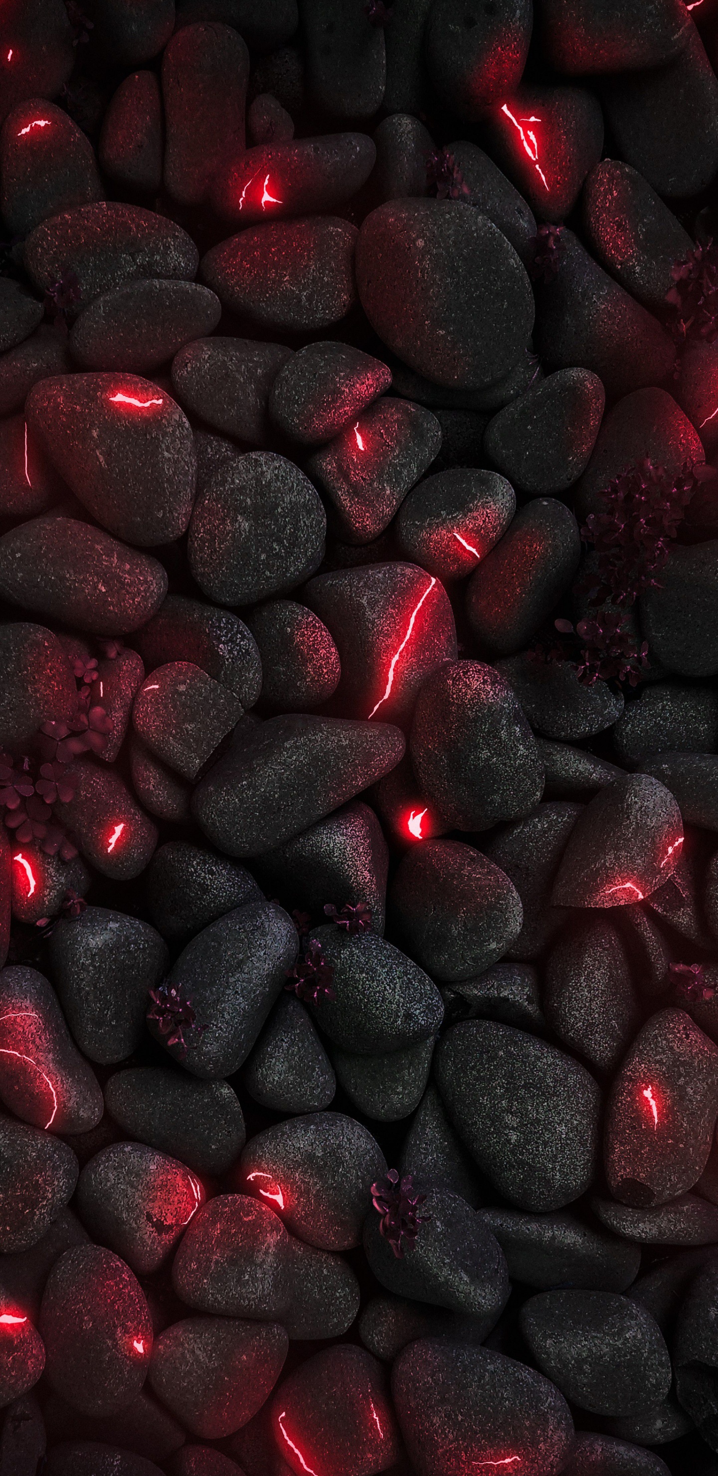 Smartphone, Automotive Tire, Automotive Lighting, Liquid, Red. Wallpaper in 1440x2960 Resolution