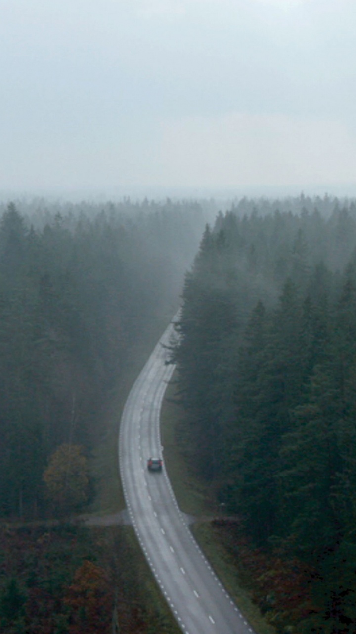 Gray Asphalt Road Between Green Trees Under White Sky During Daytime. Wallpaper in 720x1280 Resolution