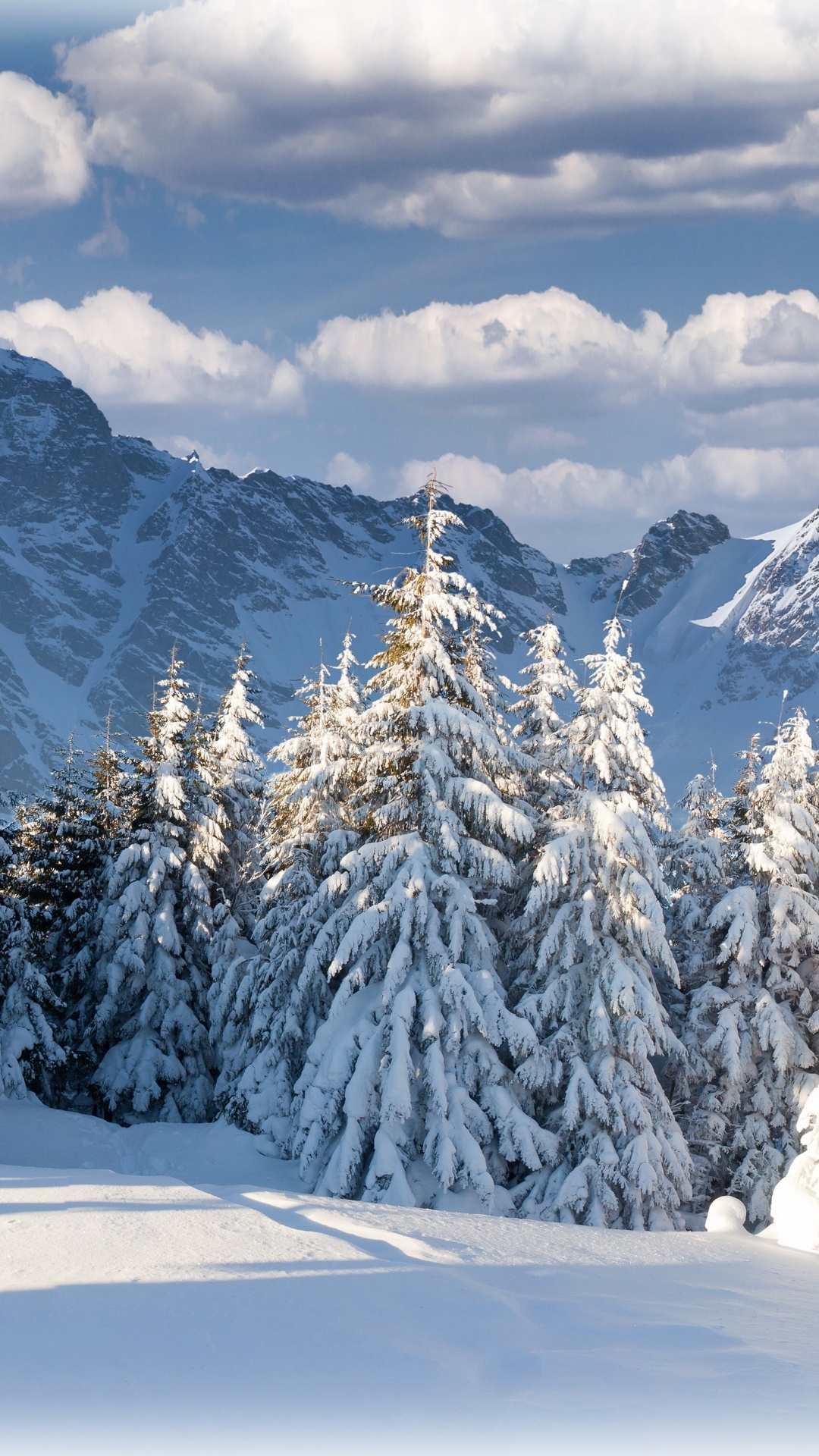 Schneebedeckte Kiefern Und Berge Tagsüber. Wallpaper in 1080x1920 Resolution