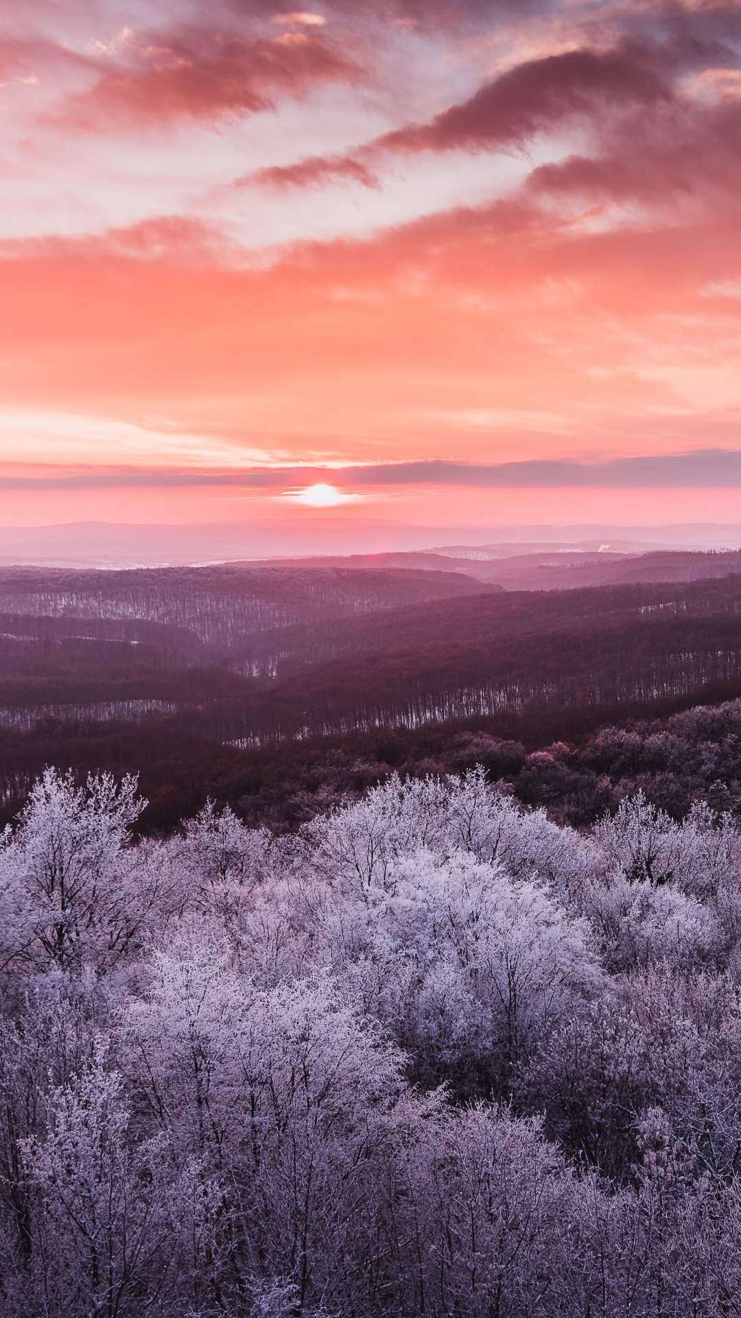 Paysage Naturel, Nature, Horizon, Purple, Pink. Wallpaper in 1080x1920 Resolution