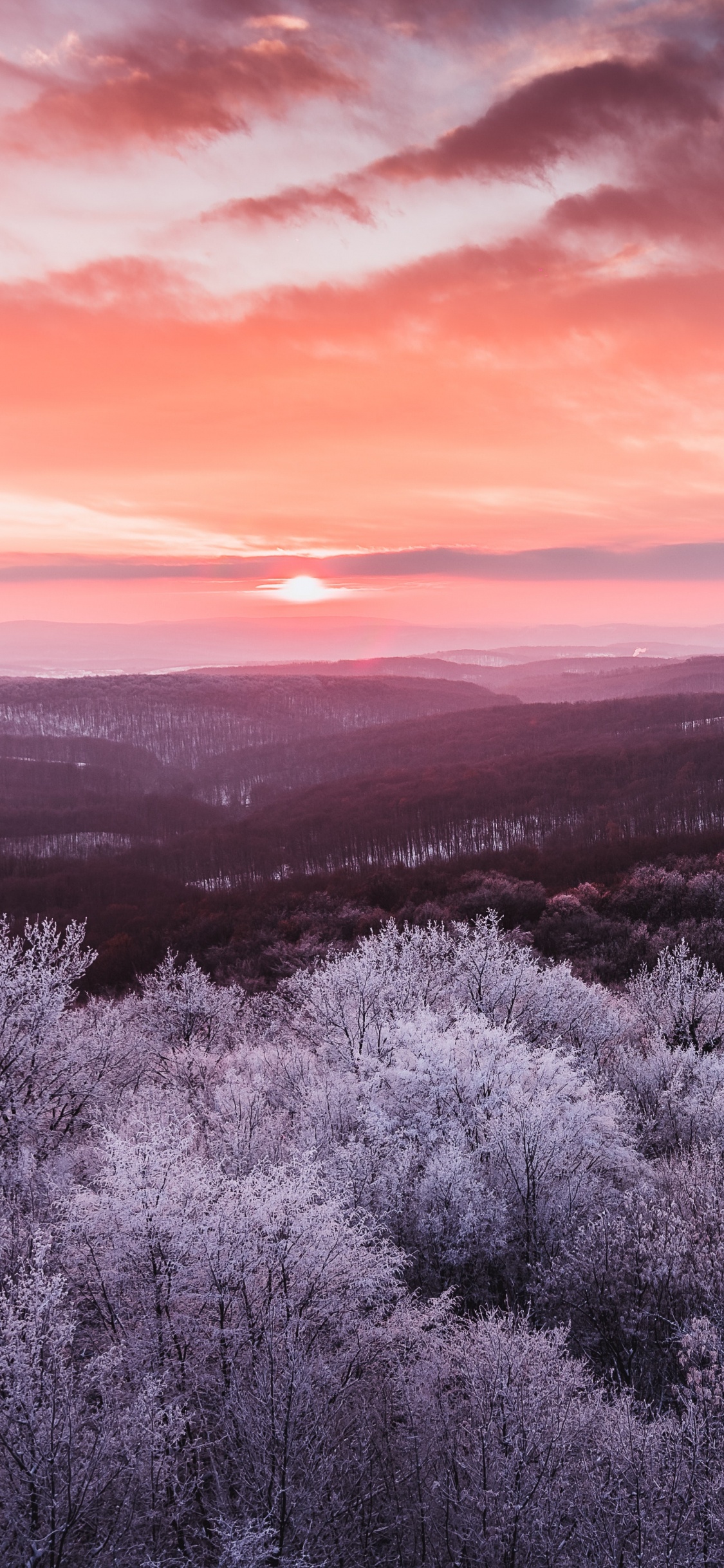 Paysage Naturel, Nature, Horizon, Purple, Pink. Wallpaper in 1125x2436 Resolution