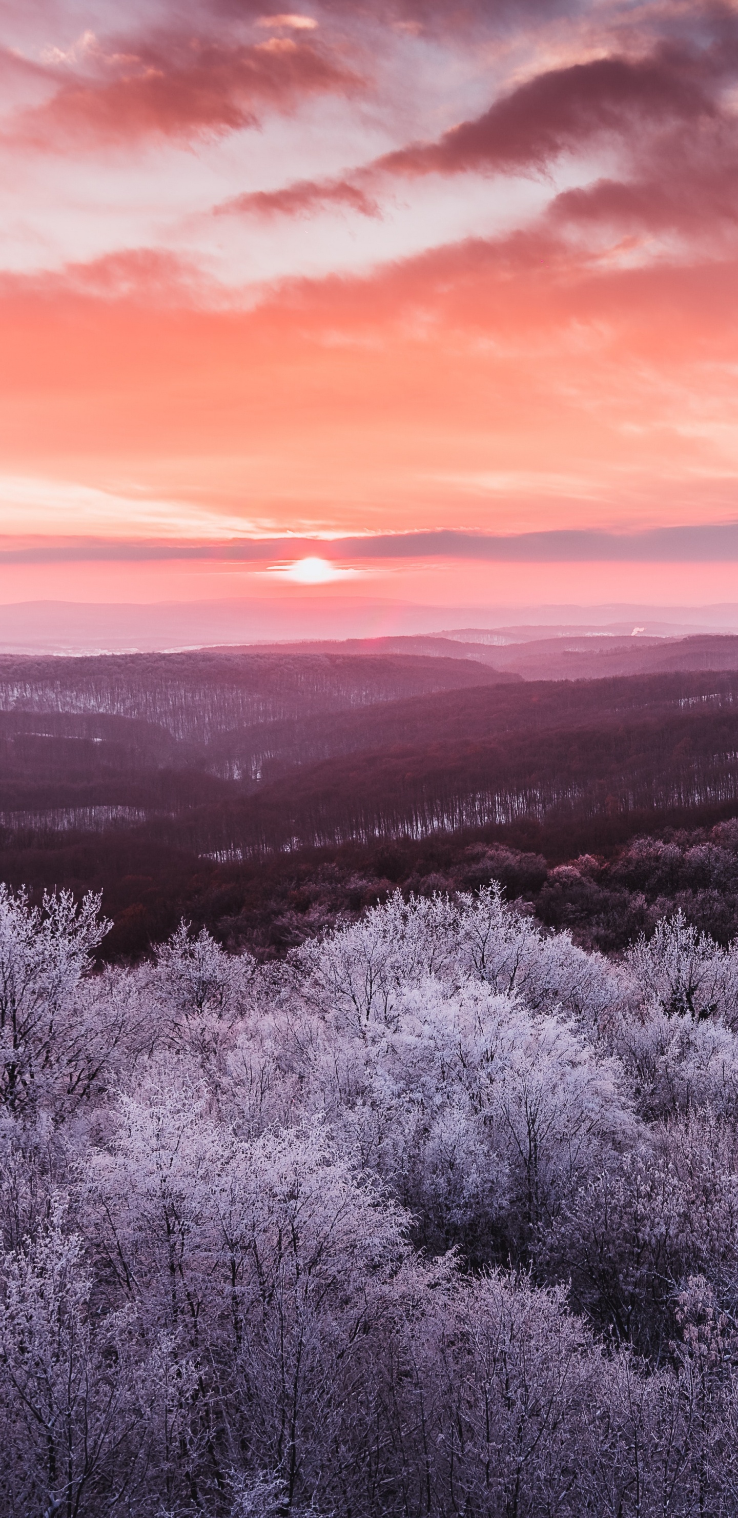 Paysage Naturel, Nature, Horizon, Purple, Pink. Wallpaper in 1440x2960 Resolution