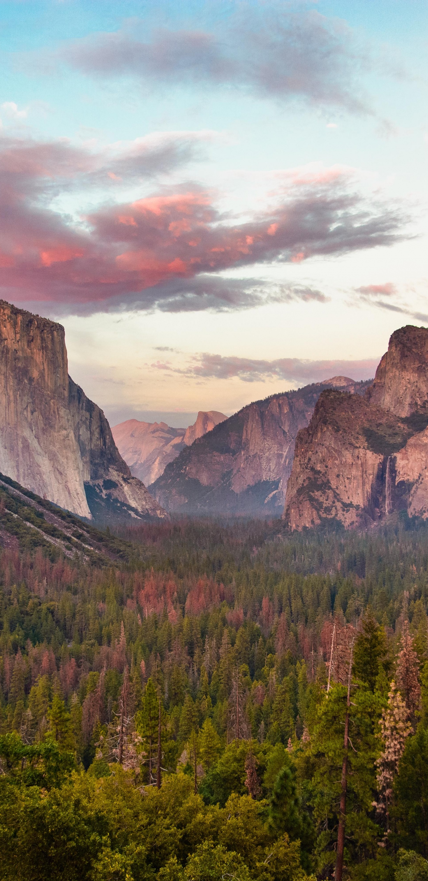 Yosemite Falls, Half Dome, Natur, Naturlandschaft, Glacier Point. Wallpaper in 1440x2960 Resolution