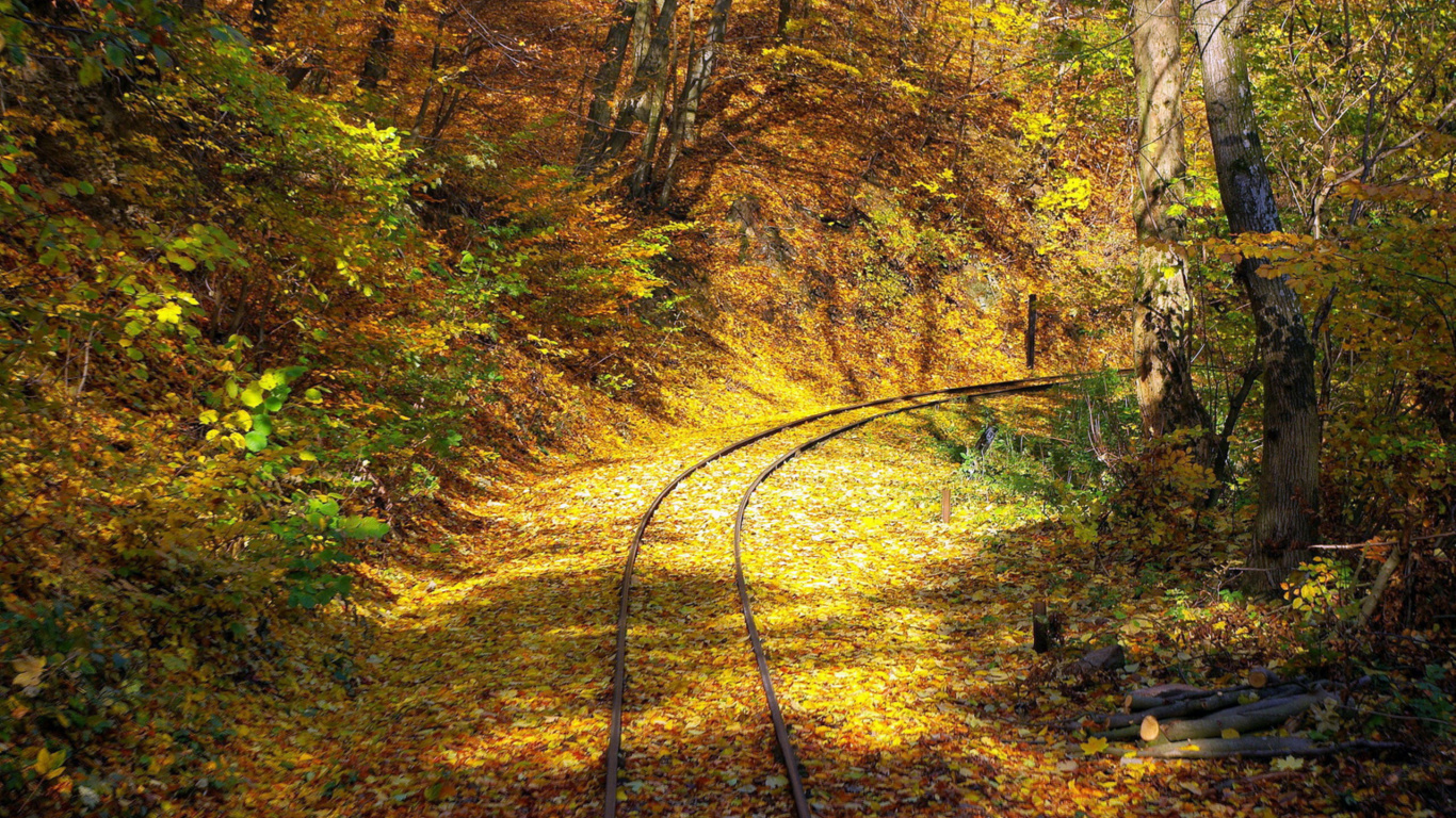 Black Metal Pipe on Brown and Green Trees. Wallpaper in 1366x768 Resolution