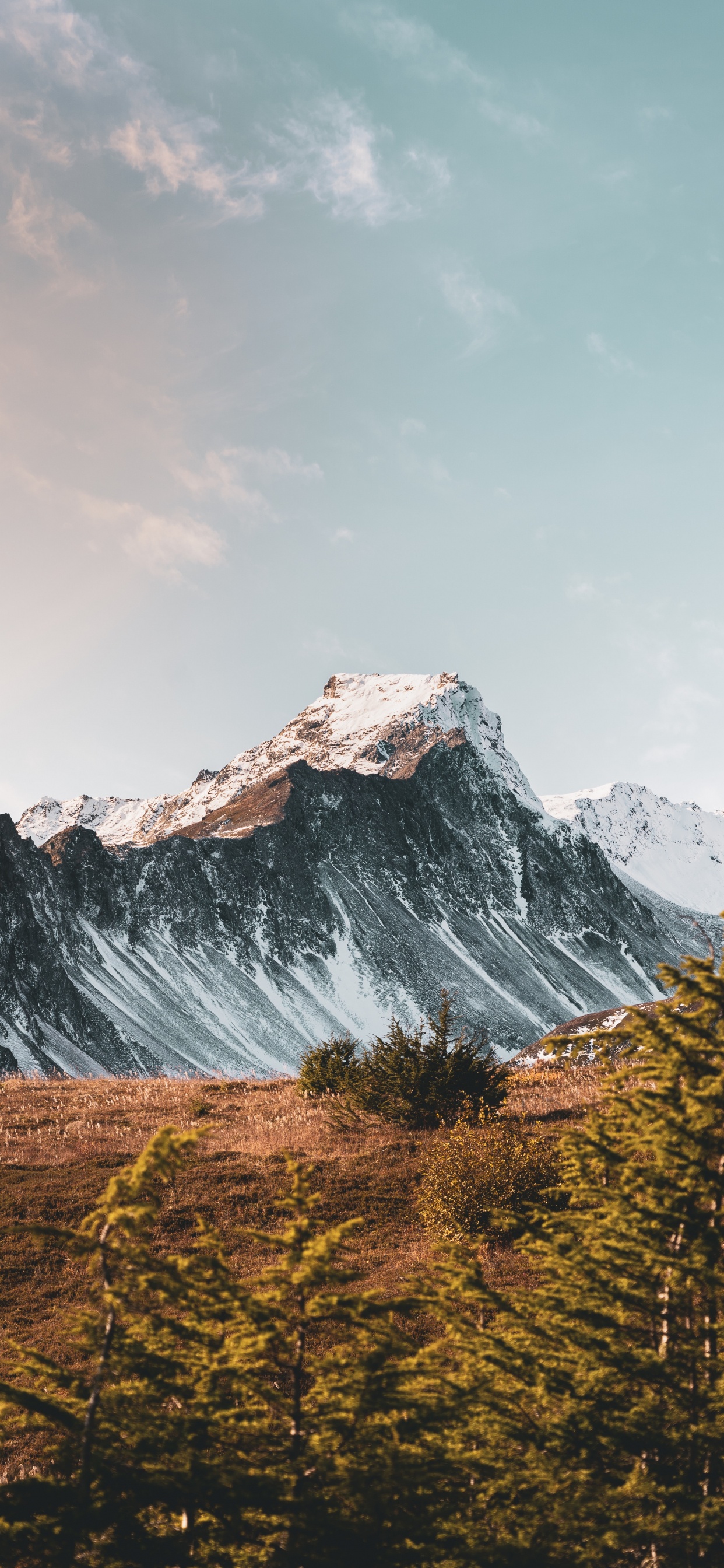 Mount Scenery, Bergigen Landschaftsformen, Natur, Bergkette, Naturlandschaft. Wallpaper in 1242x2688 Resolution
