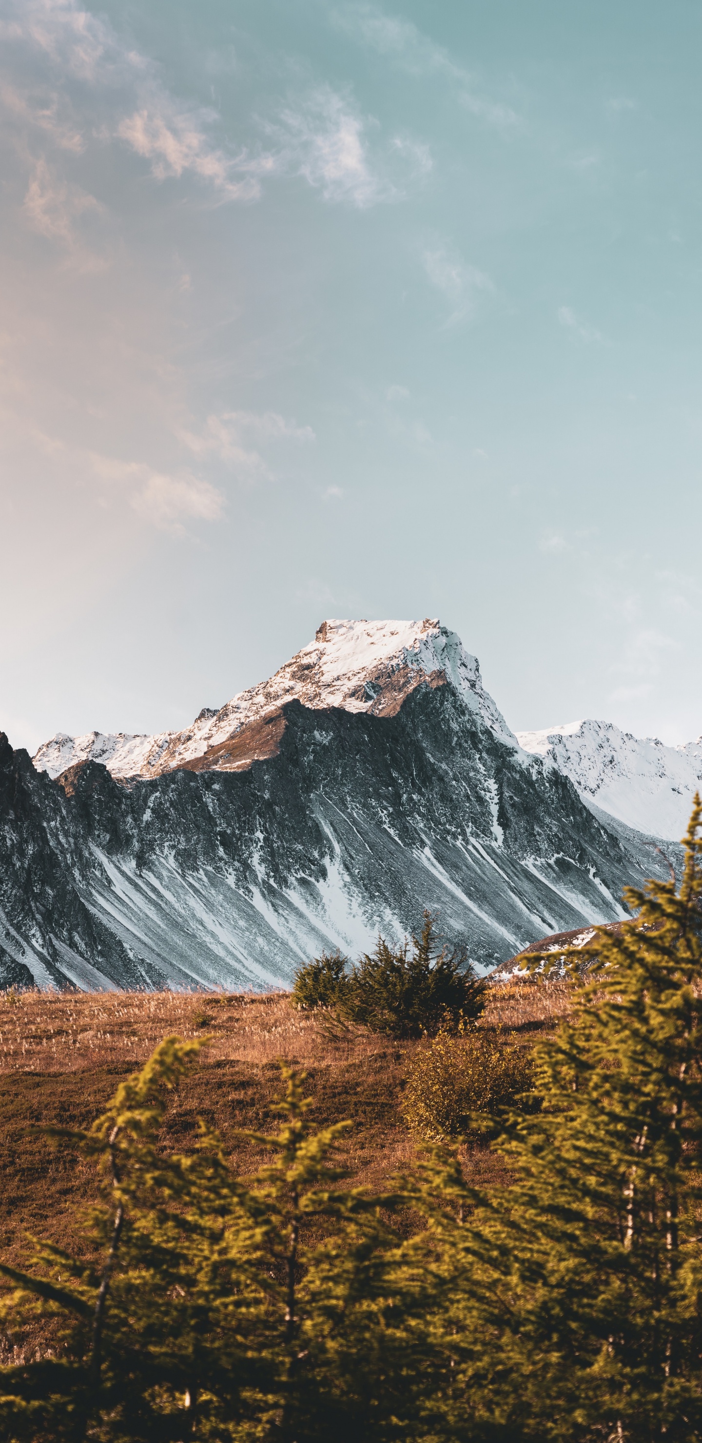 Mount Scenery, Bergigen Landschaftsformen, Natur, Bergkette, Naturlandschaft. Wallpaper in 1440x2960 Resolution