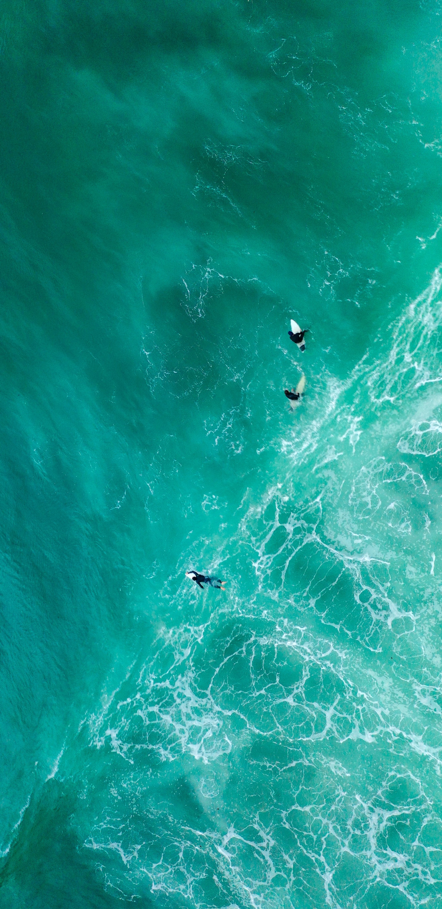 Gente Navegando en el Mar Verde Durante el Día. Wallpaper in 1440x2960 Resolution