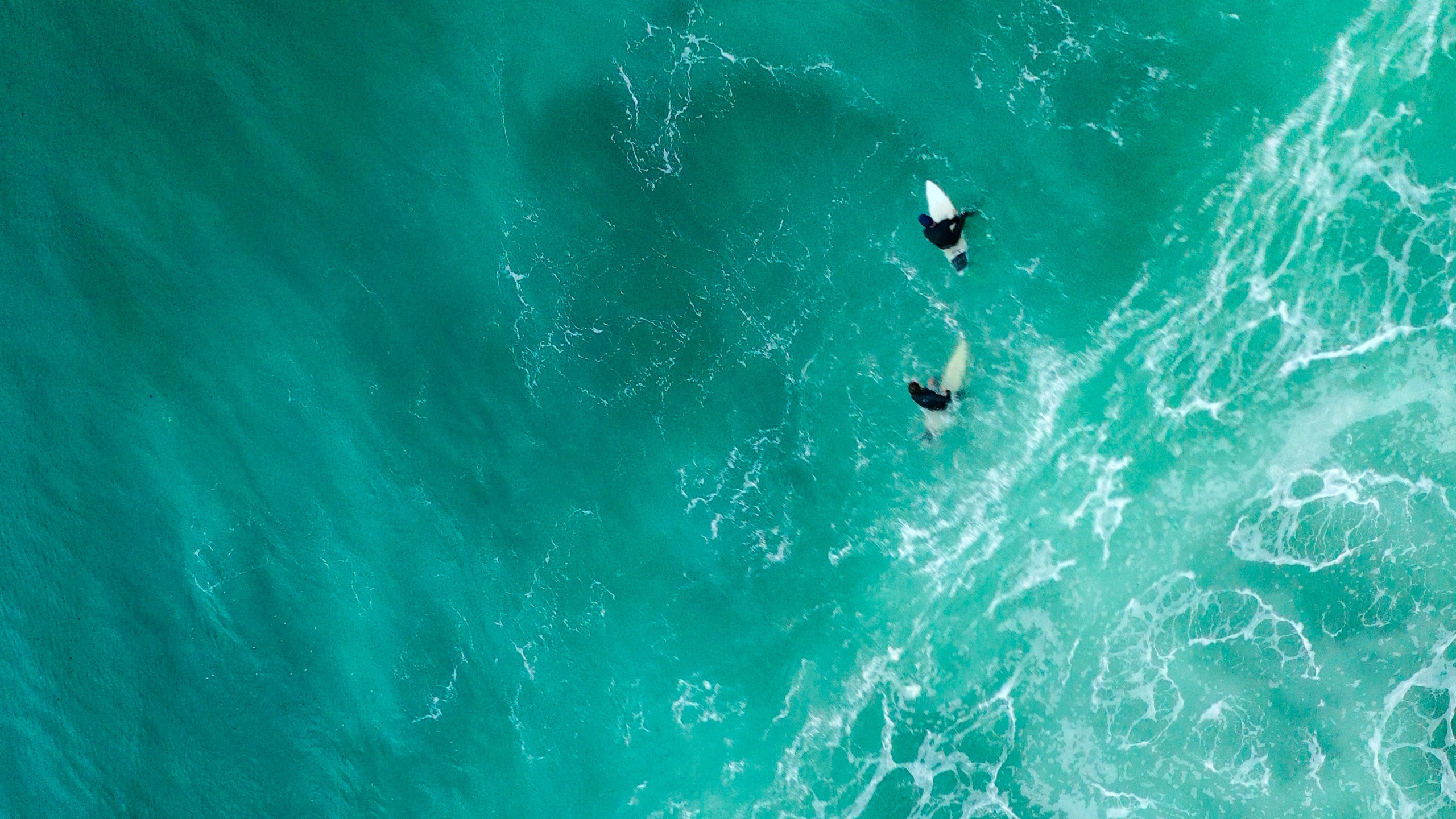 Personnes Surfant Sur la Mer Verte Pendant la Journée. Wallpaper in 2560x1440 Resolution