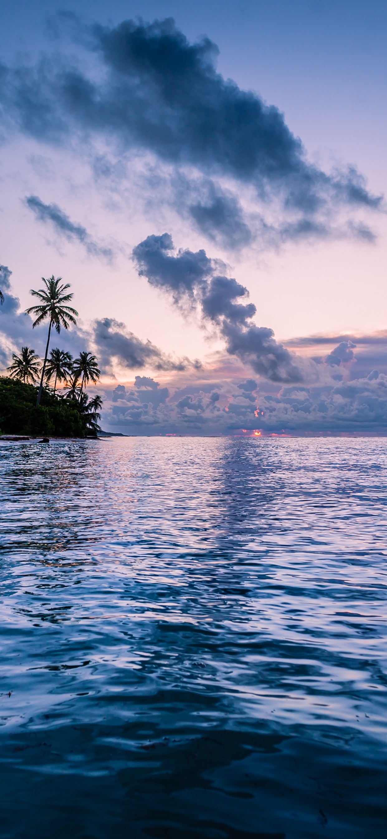 Santa Ana, Martinica, Caídas de Carbet, Naturaleza, Caribe Francés. Wallpaper in 1242x2688 Resolution