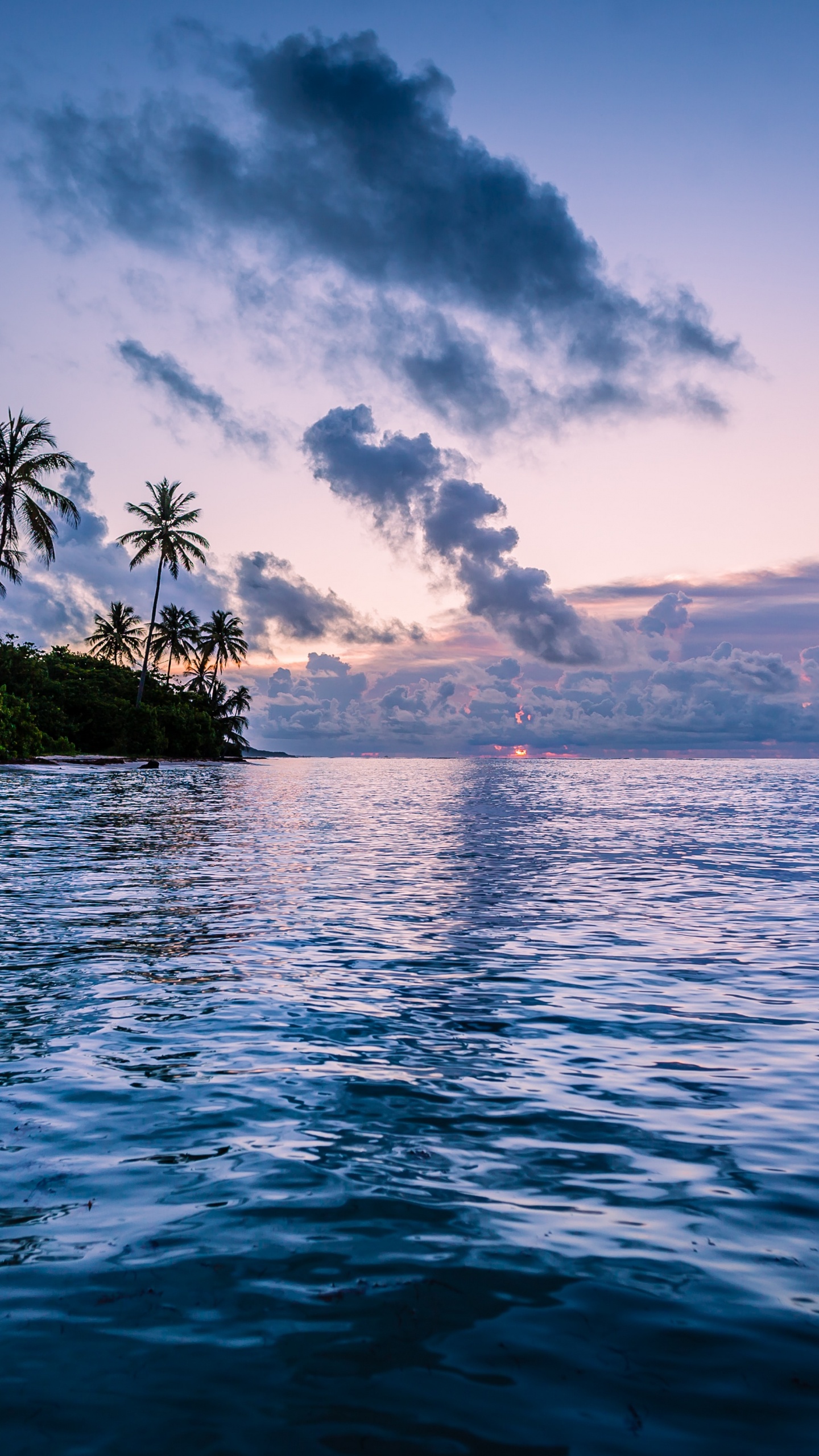 Santa Ana, Martinica, Caídas de Carbet, Naturaleza, Caribe Francés. Wallpaper in 1440x2560 Resolution