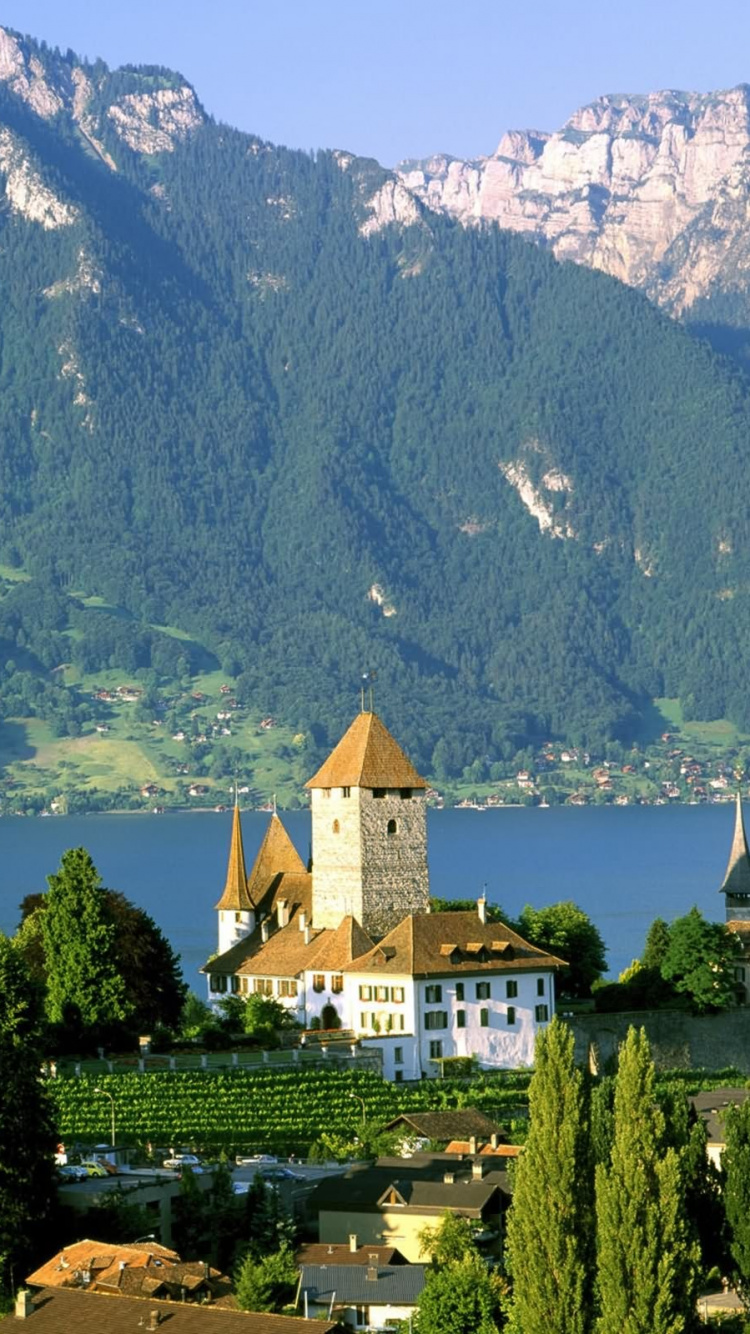 Green Trees Near Body of Water and Mountain During Daytime. Wallpaper in 750x1334 Resolution
