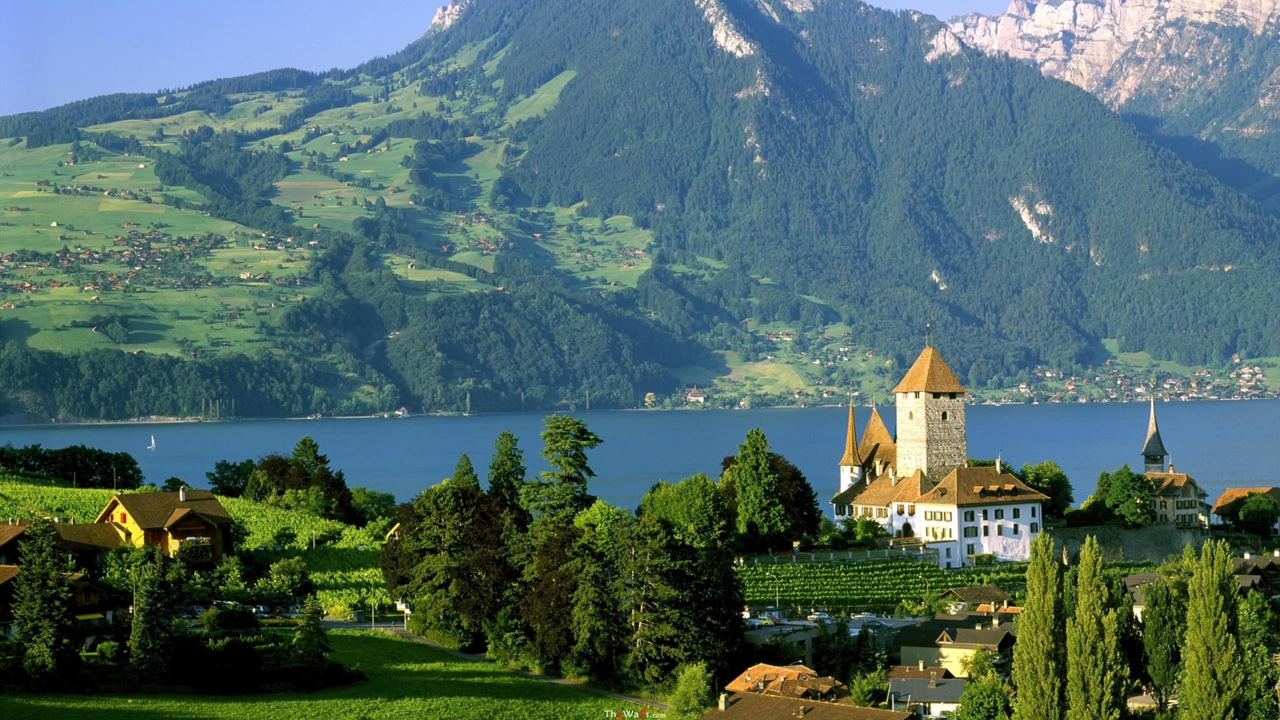 Grüne Bäume in Der Nähe Von Gewässern Und Bergen Tagsüber. Wallpaper in 2560x1440 Resolution