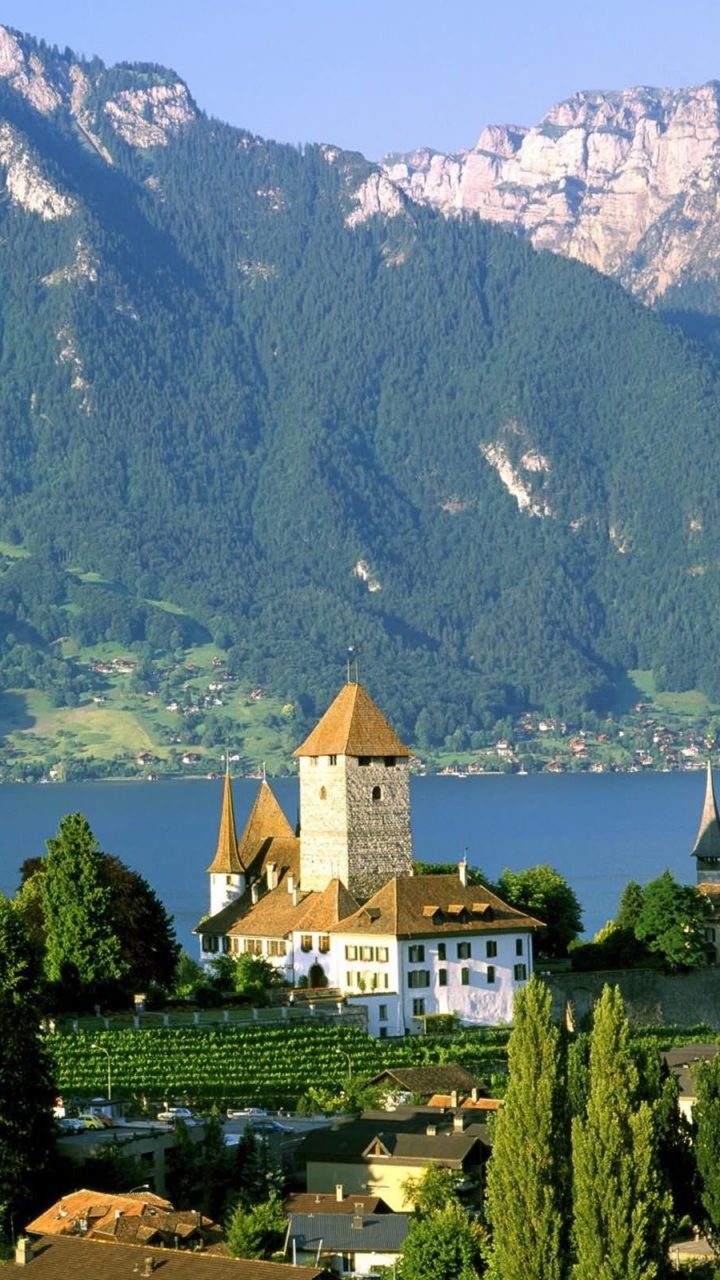 Grüne Bäume in Der Nähe Von Gewässern Und Bergen Tagsüber. Wallpaper in 720x1280 Resolution