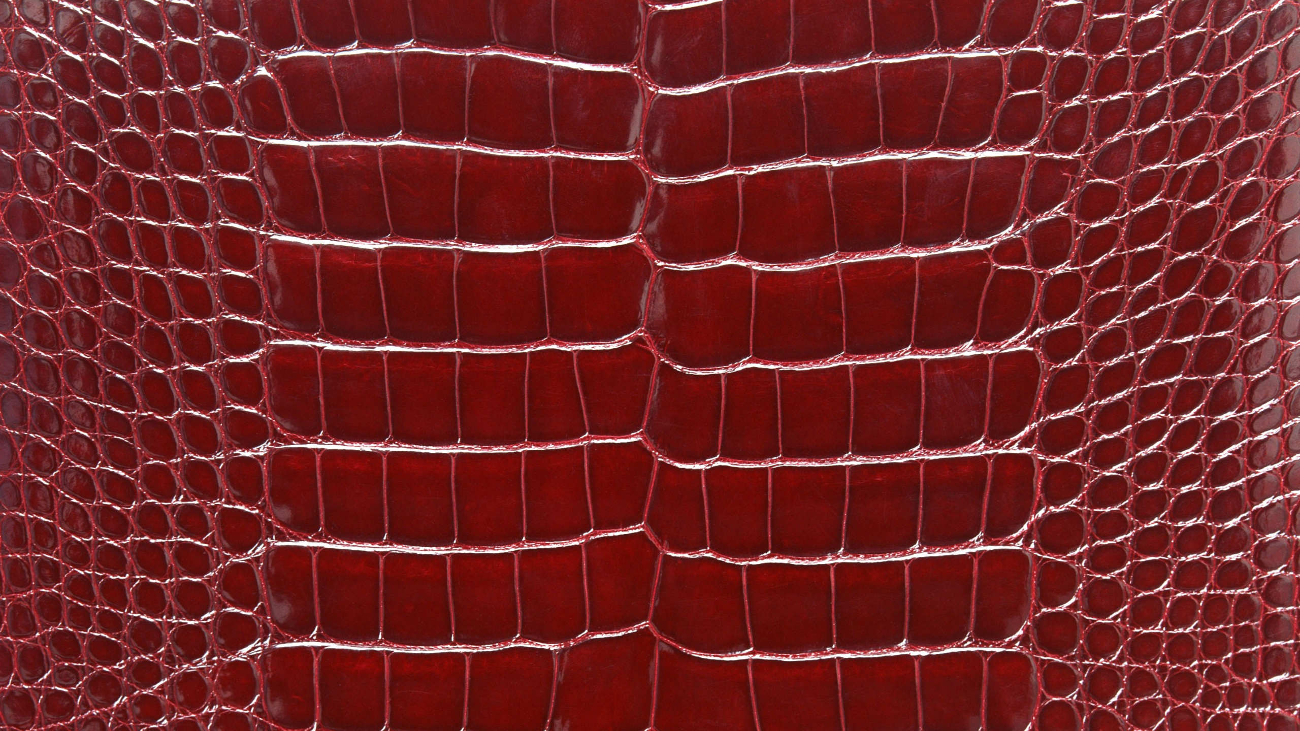 Textile à Carreaux Rouges et Blancs. Wallpaper in 2560x1440 Resolution