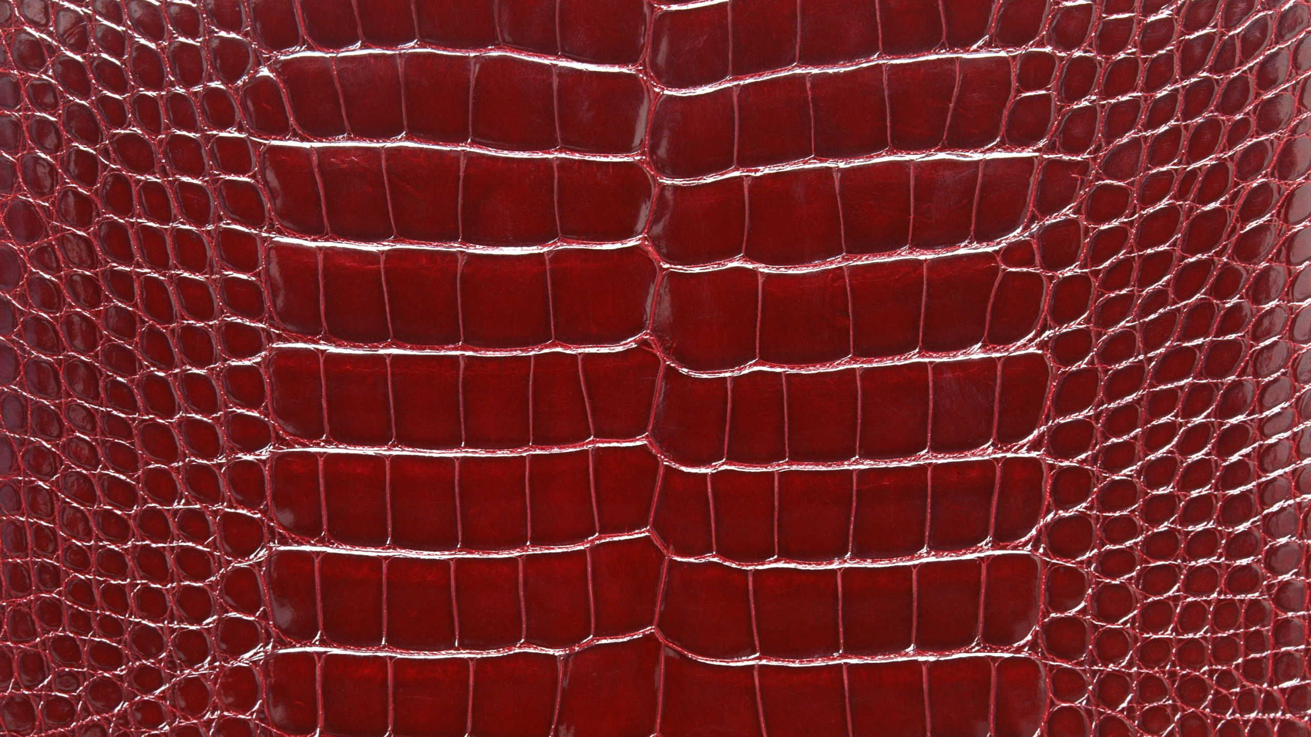 Textile à Carreaux Rouges et Blancs. Wallpaper in 2560x1440 Resolution