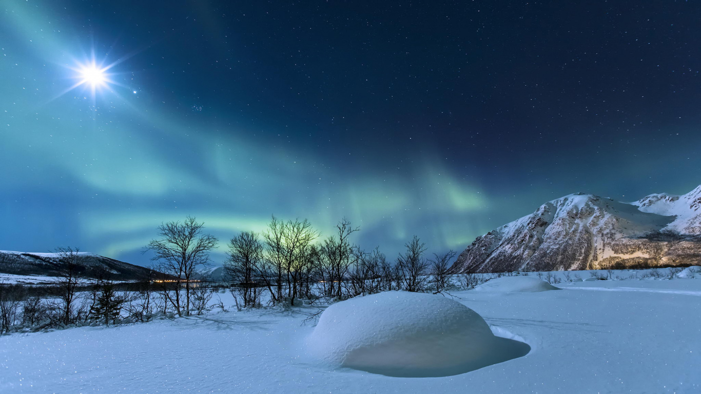 Campo Cubierto de Nieve Bajo un Cielo Azul. Wallpaper in 1366x768 Resolution