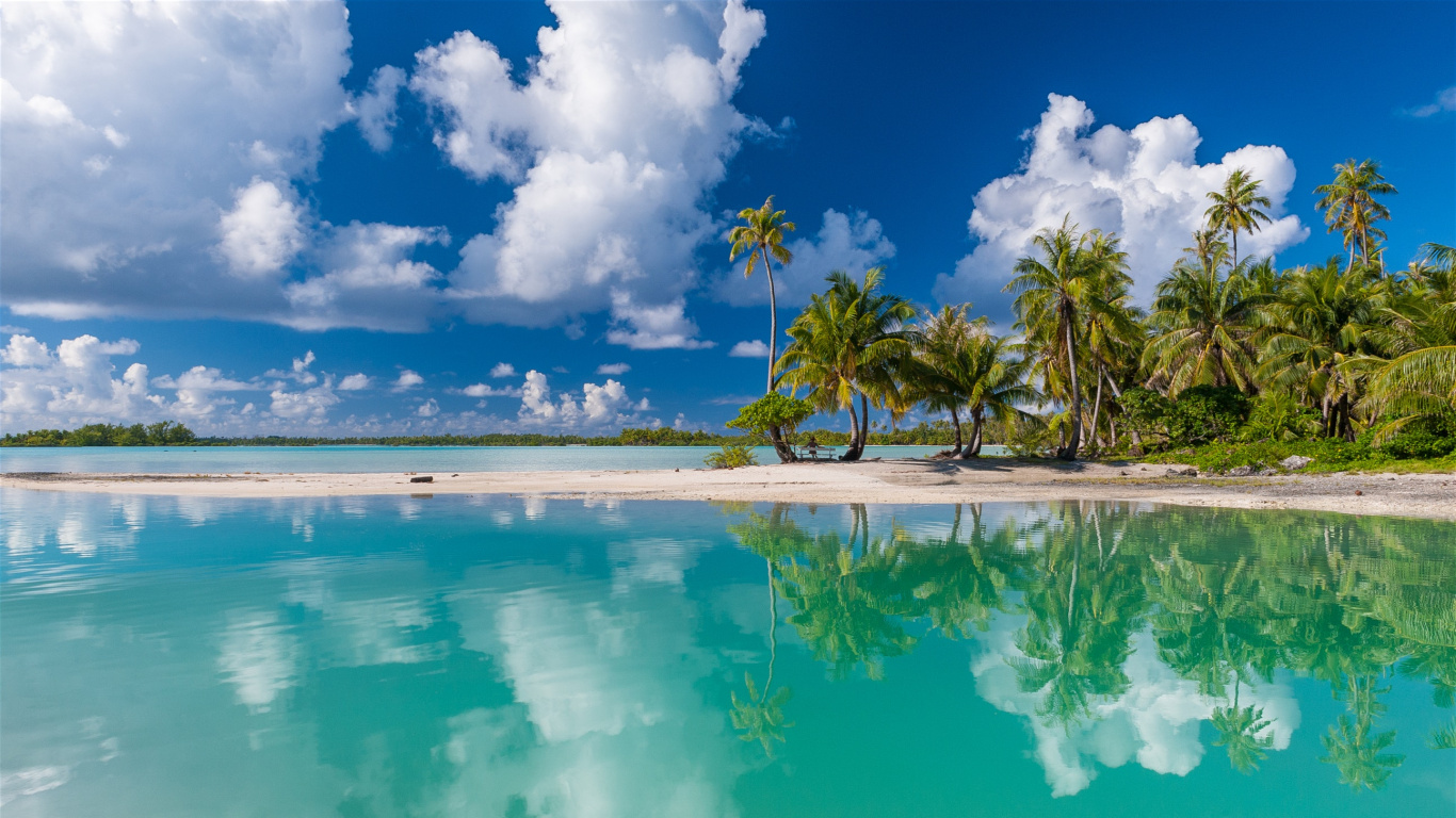 Green Palm Trees Beside Blue Body of Water Under Blue and White Cloudy Sky During Daytime. Wallpaper in 1366x768 Resolution