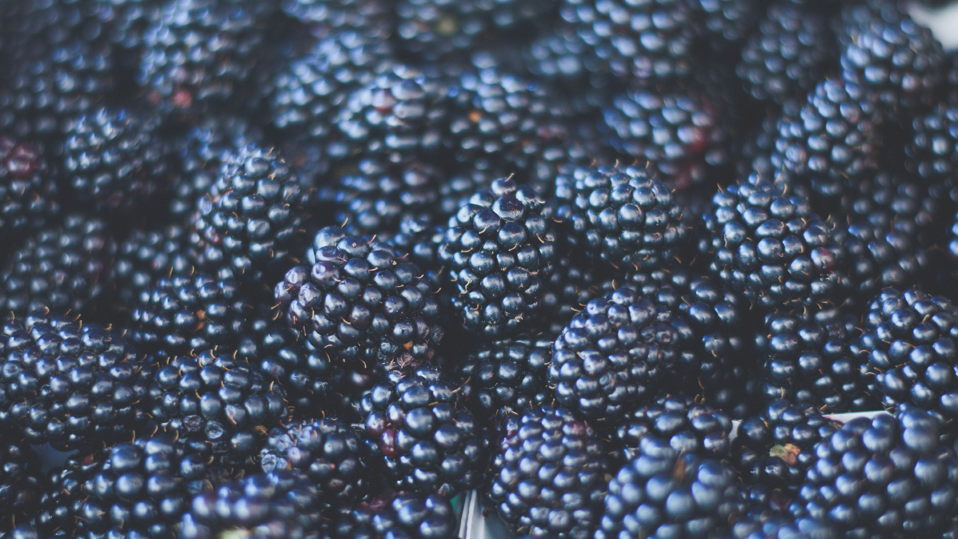 Green and Black Round Fruits. Wallpaper in 1920x1080 Resolution