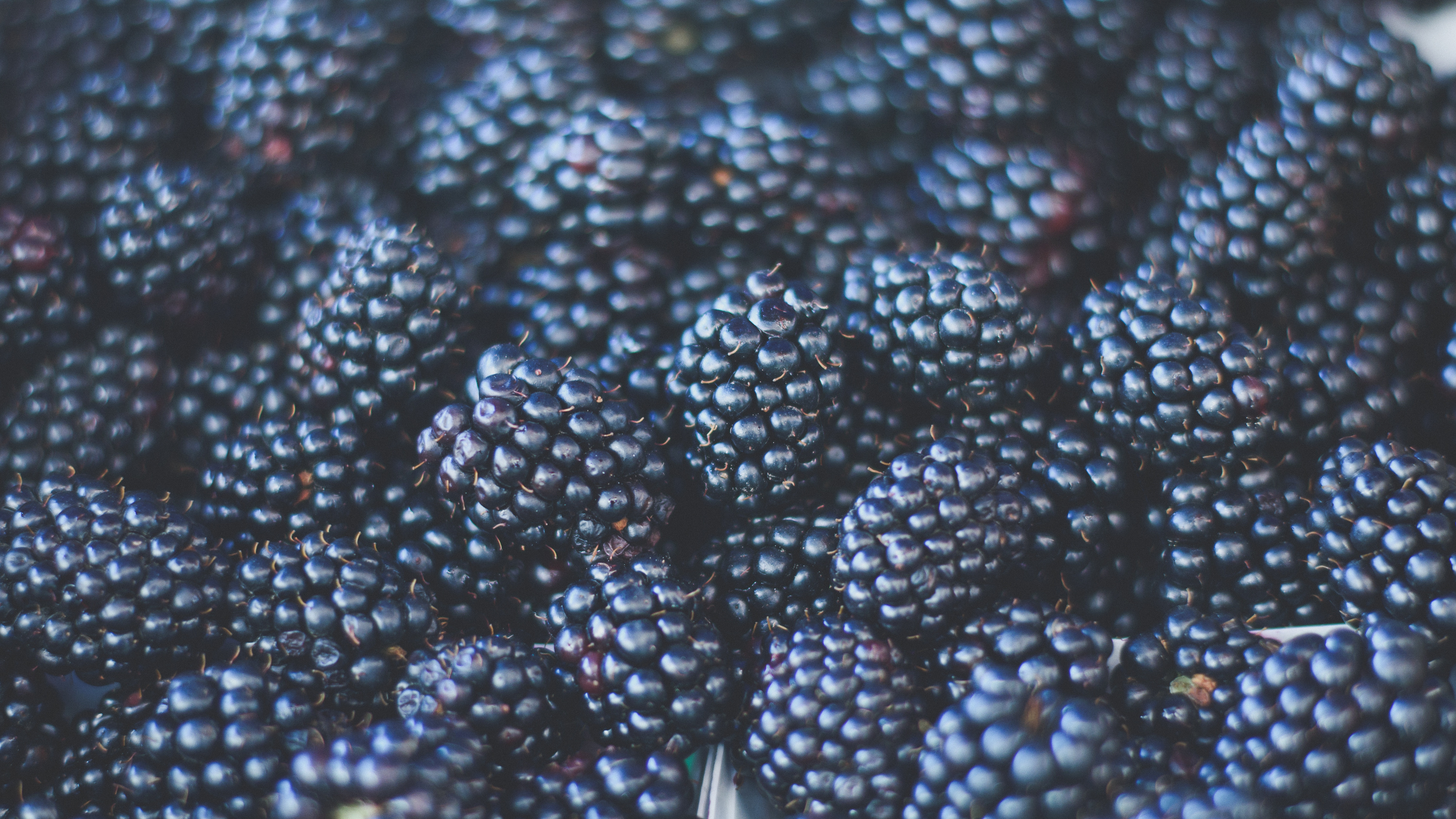 Green and Black Round Fruits. Wallpaper in 3840x2160 Resolution
