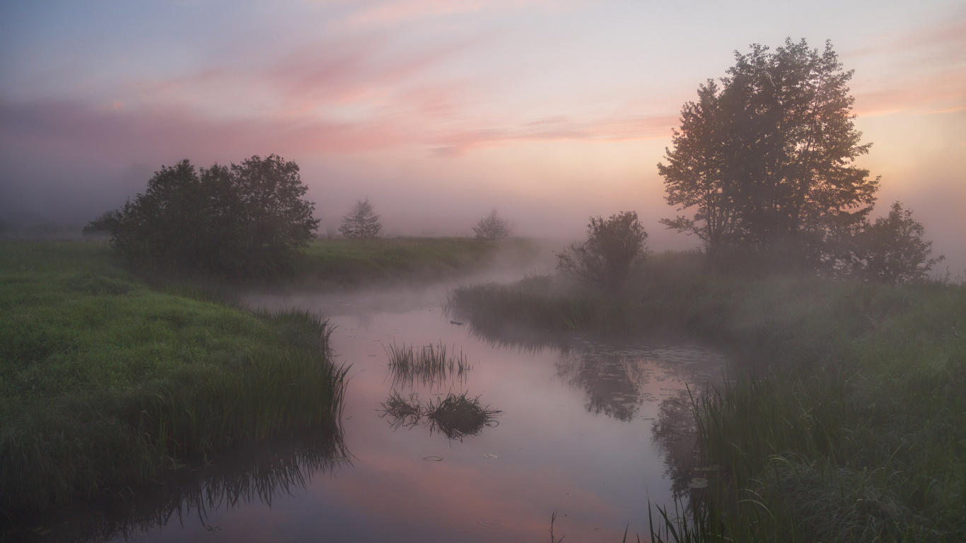 反射, 黎明, 风景画, 性质, 雾 壁纸 1366x768 允许