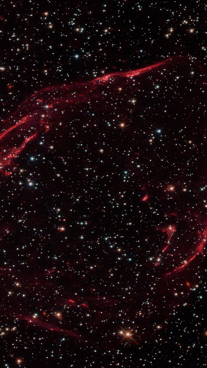 Nebula, Xiaomi Mi Mix 3, Apples, Water, Christmas Tree. Wallpaper in 720x1280 Resolution