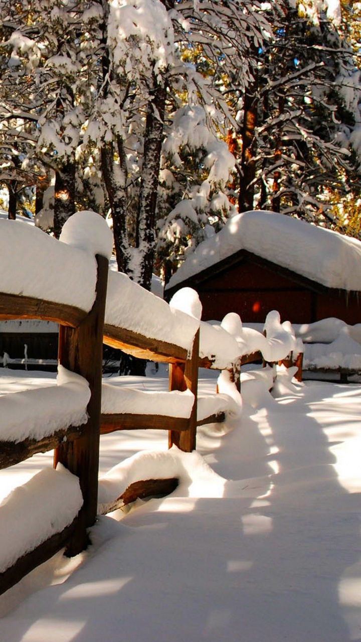 Banc en Bois Marron Recouvert de Neige. Wallpaper in 720x1280 Resolution