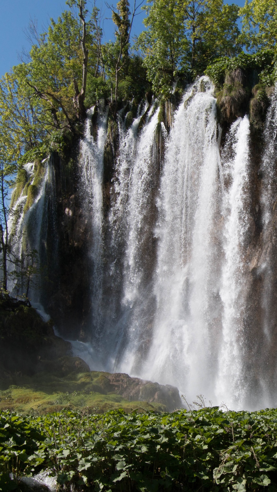 Cascadas en el Bosque Durante el Día.. Wallpaper in 1080x1920 Resolution