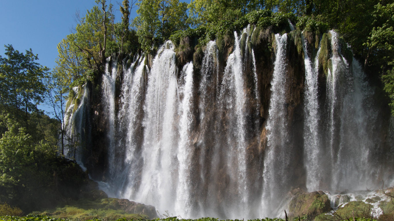 Cascades en Forêt Pendant la Journée. Wallpaper in 1366x768 Resolution