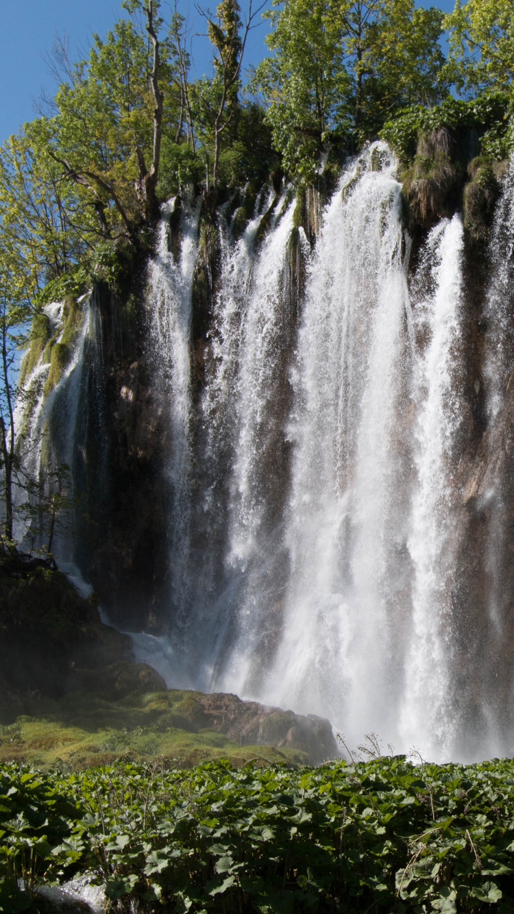 Cascades en Forêt Pendant la Journée. Wallpaper in 750x1334 Resolution