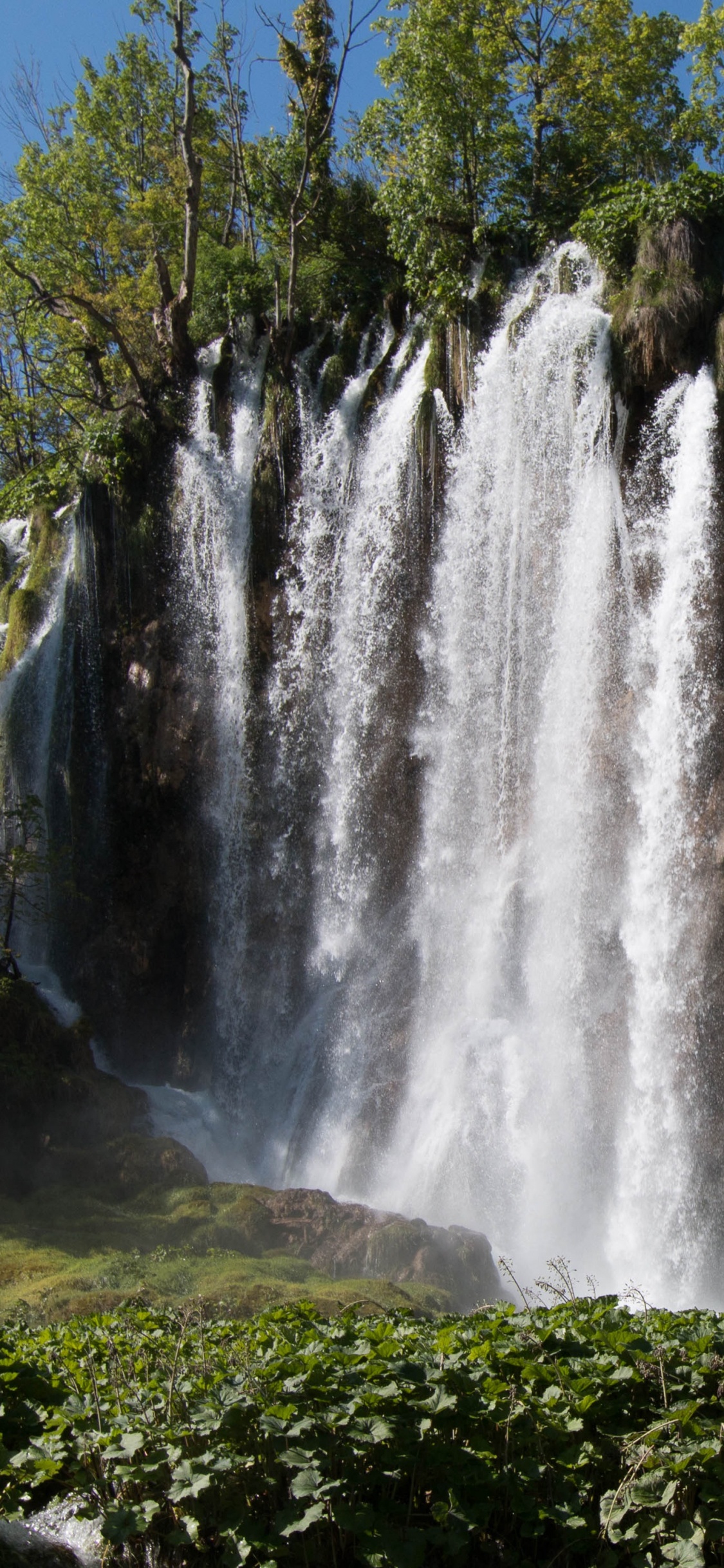 Wasserfälle im Wald Tagsüber. Wallpaper in 1125x2436 Resolution