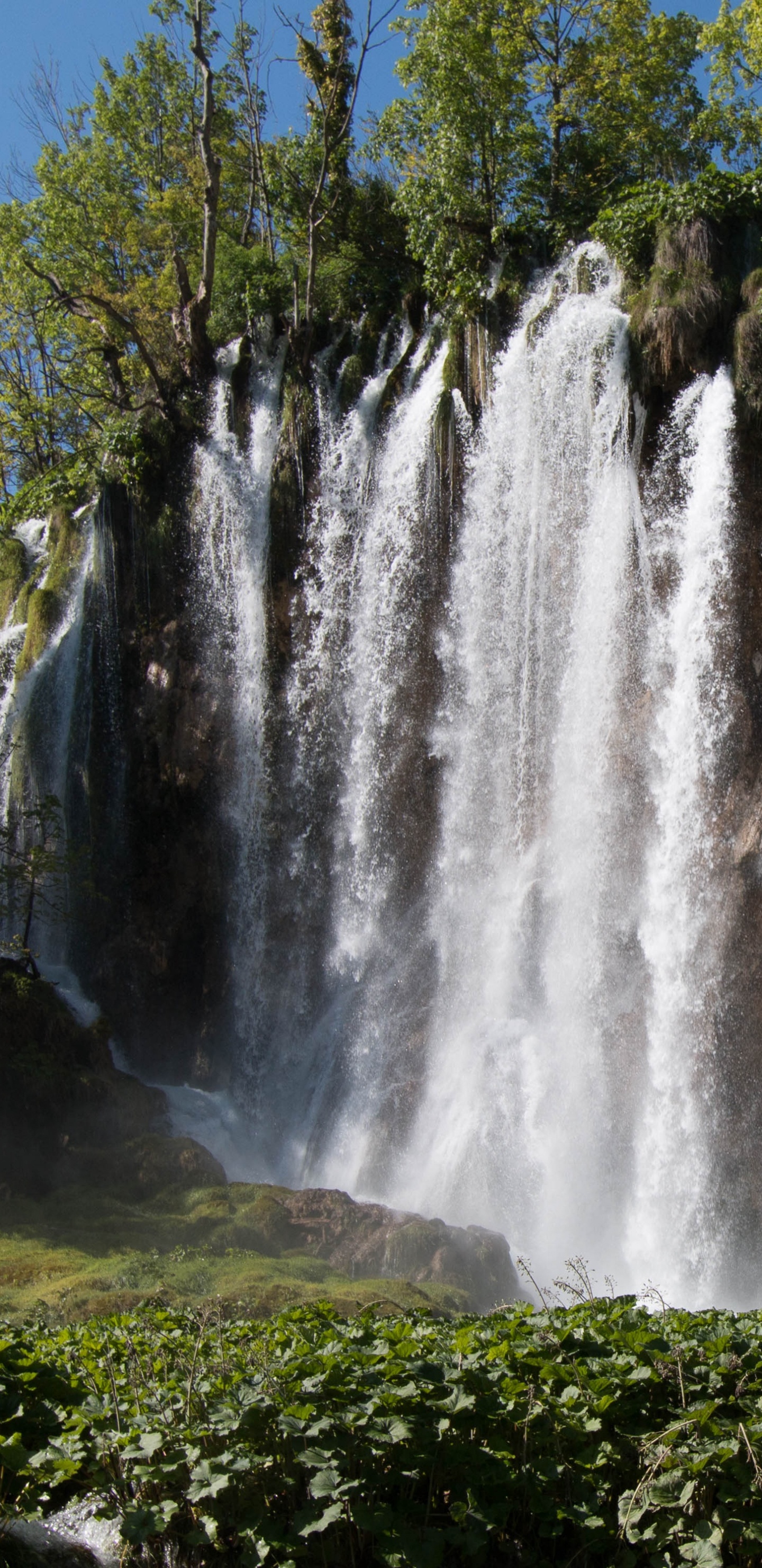 Waterfalls in Forest During Daytime. Wallpaper in 1440x2960 Resolution