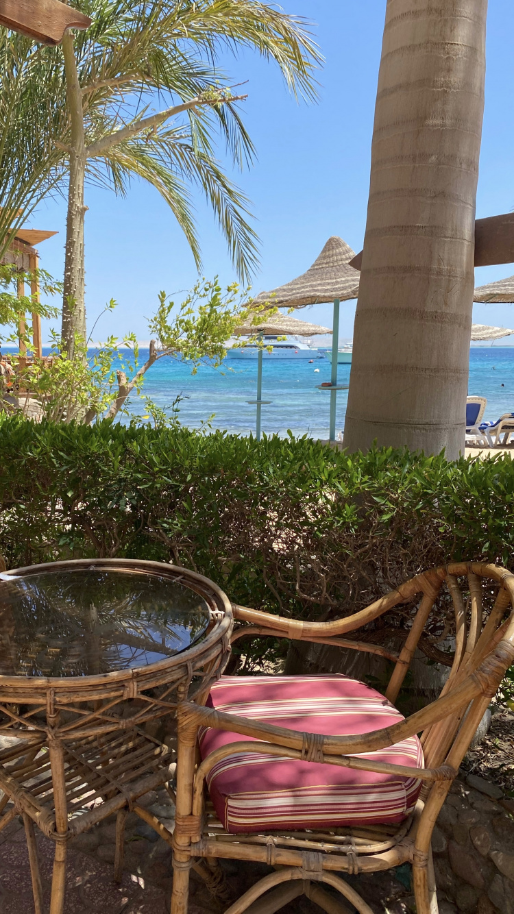 Resort, Immobilier, Palmier, Plantes Ligneuses, Mobilier D'extérieur. Wallpaper in 750x1334 Resolution