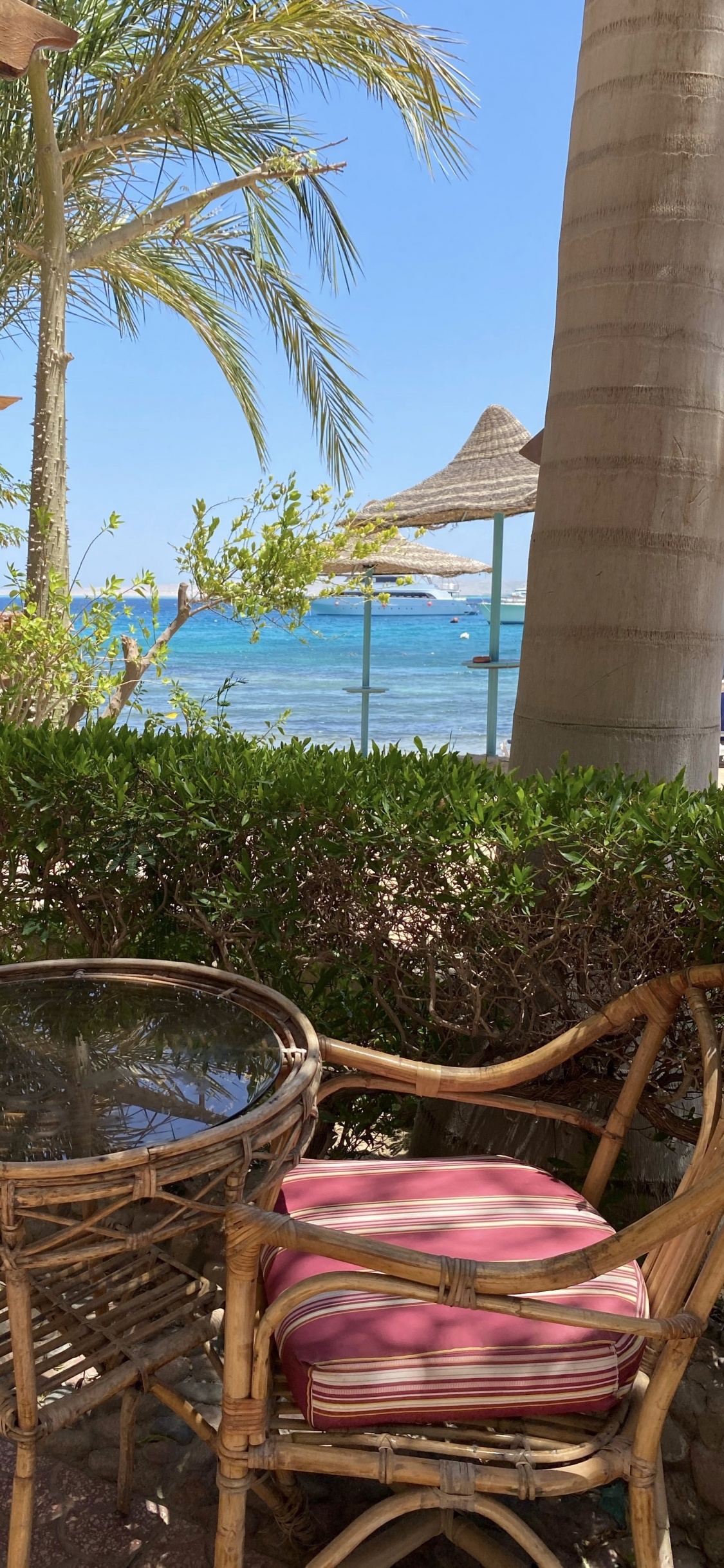 Resort, Inmueble, Palmera, Planta Leñosa, Muebles de Exterior. Wallpaper in 1125x2436 Resolution