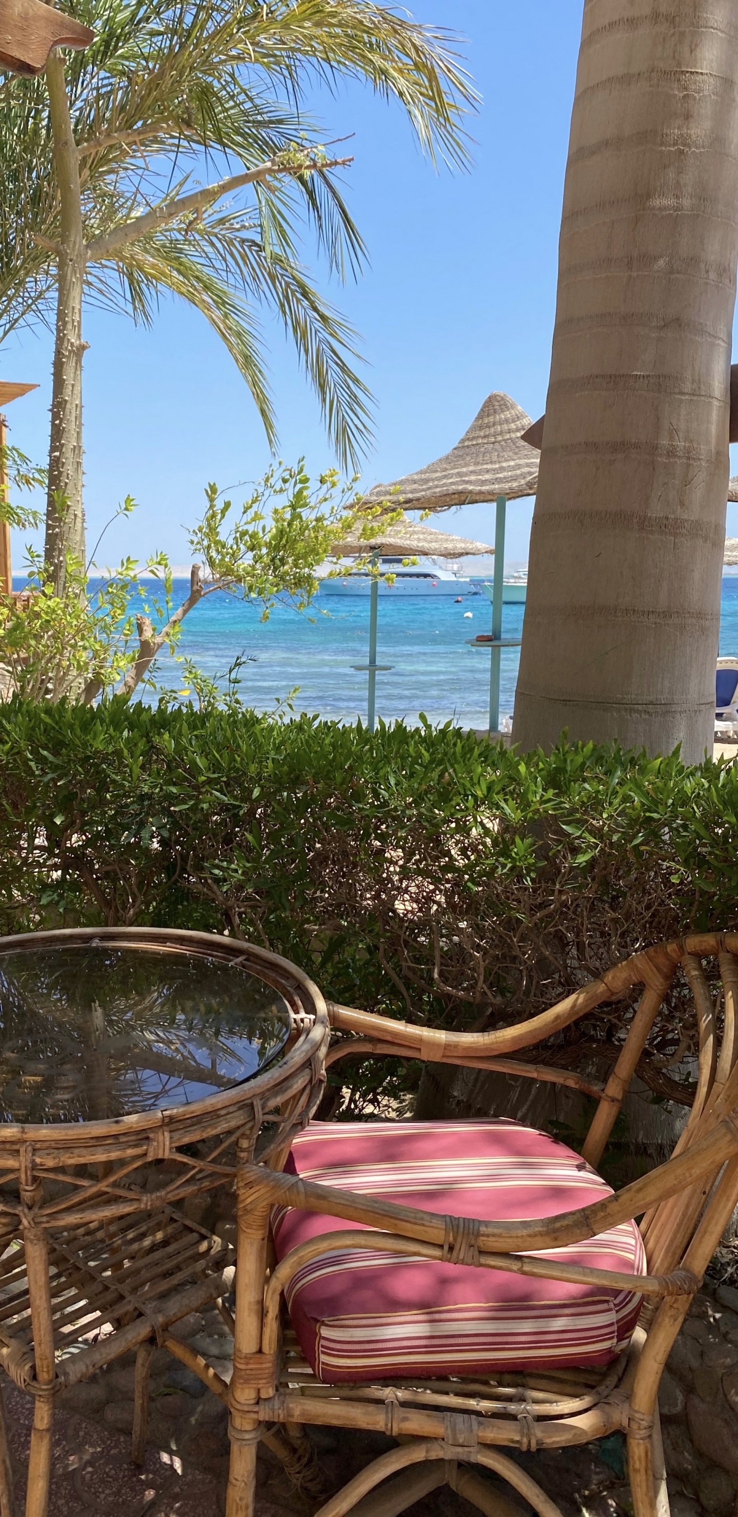 Resort, Inmueble, Palmera, Planta Leñosa, Muebles de Exterior. Wallpaper in 1440x2960 Resolution