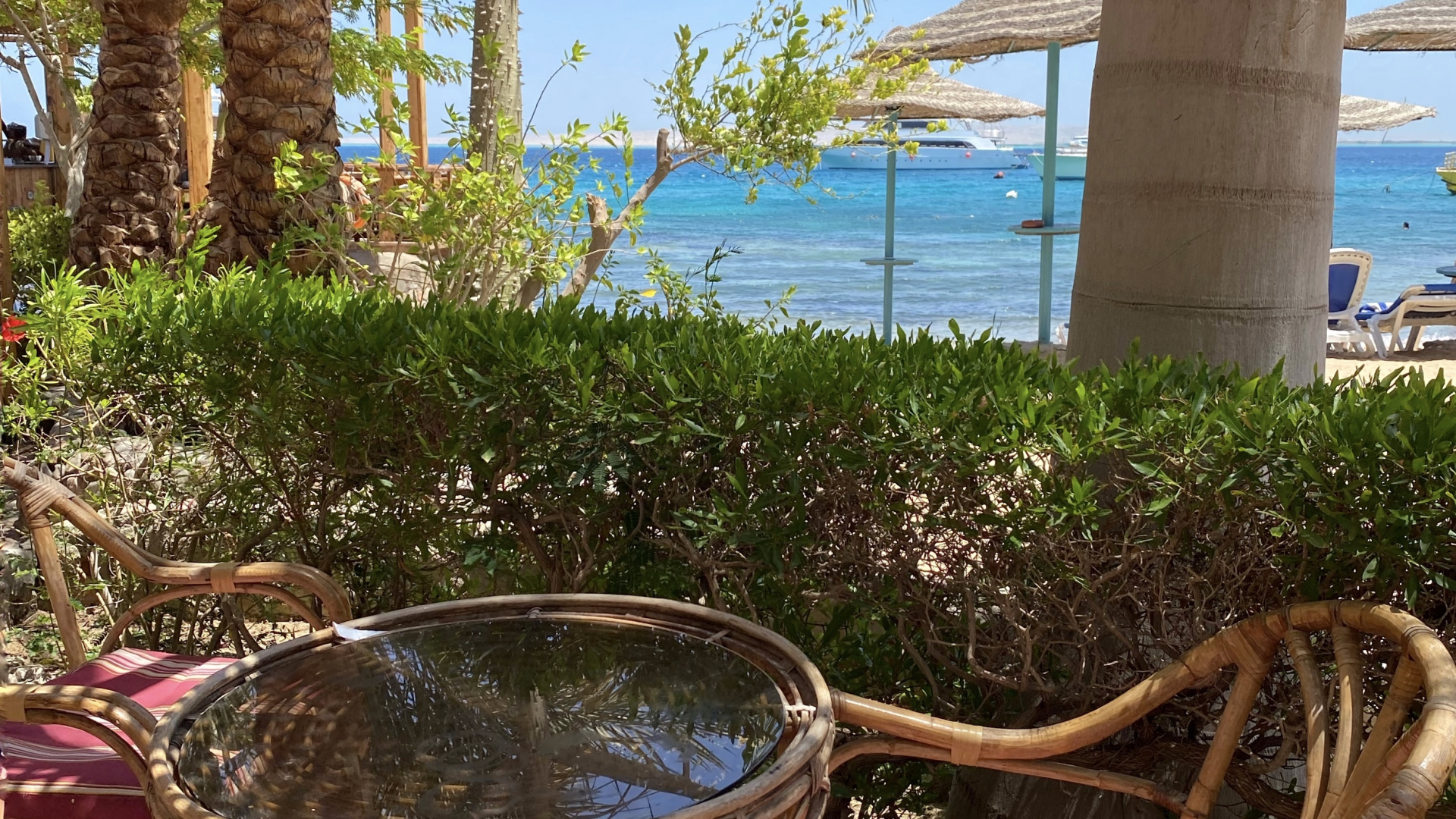 Resort, Real Estate, Palm Trees, Woody Plant, Outdoor Furniture. Wallpaper in 1920x1080 Resolution