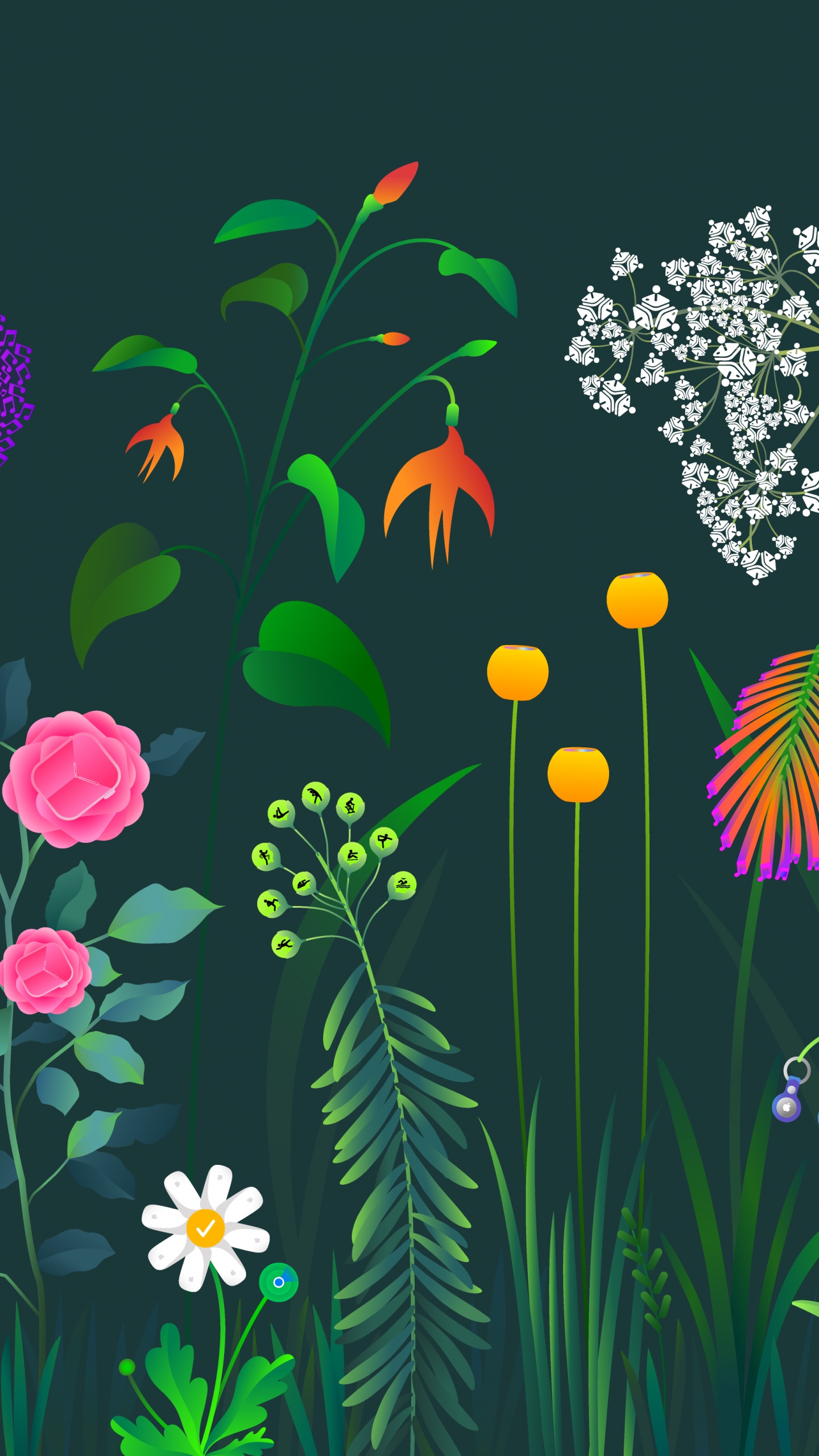 苹果, 植被, 草, 艺术, 草地上 壁纸 1440x2560 允许