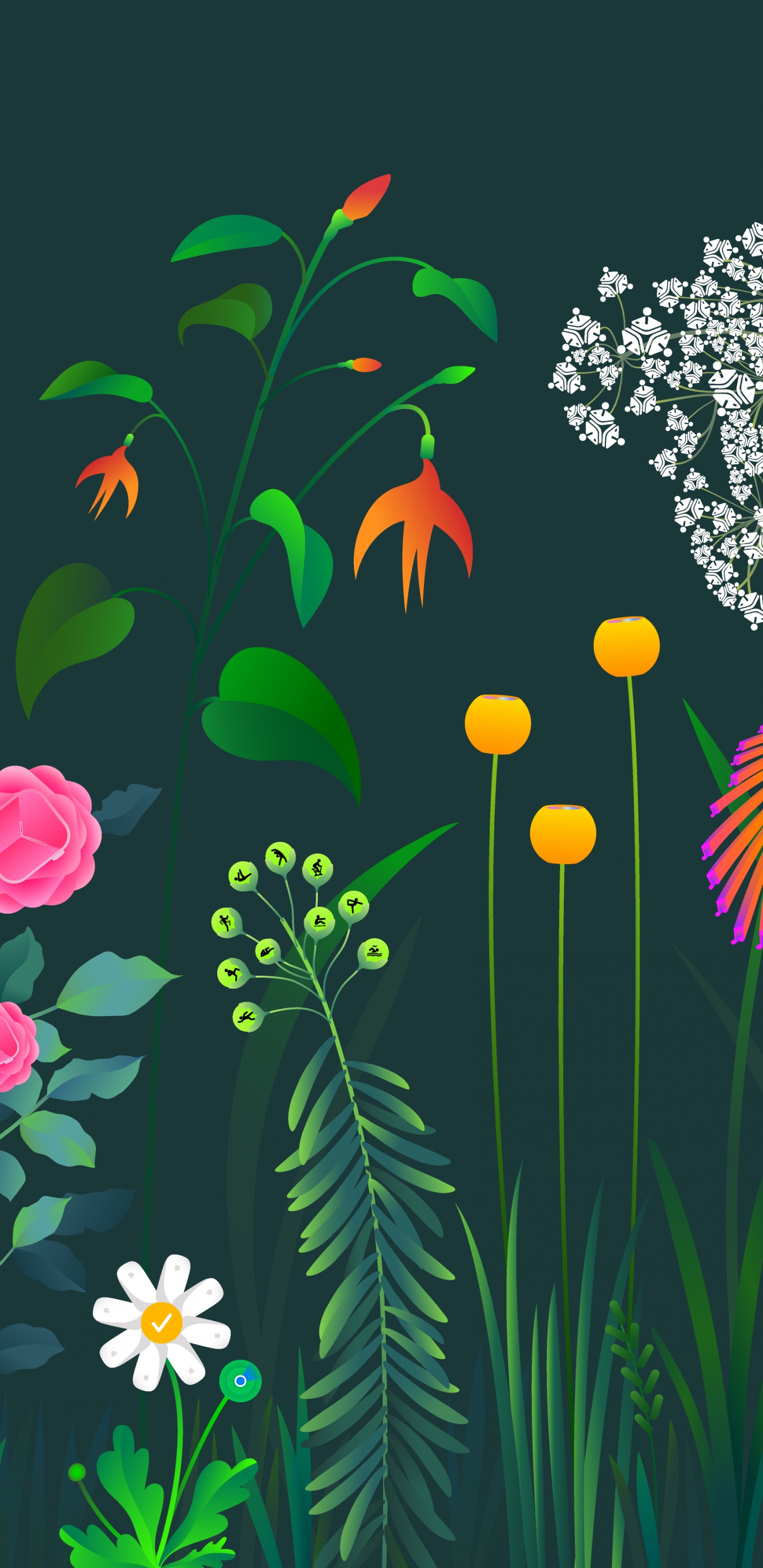 苹果, 植被, 草, 艺术, 草地上 壁纸 1440x2960 允许