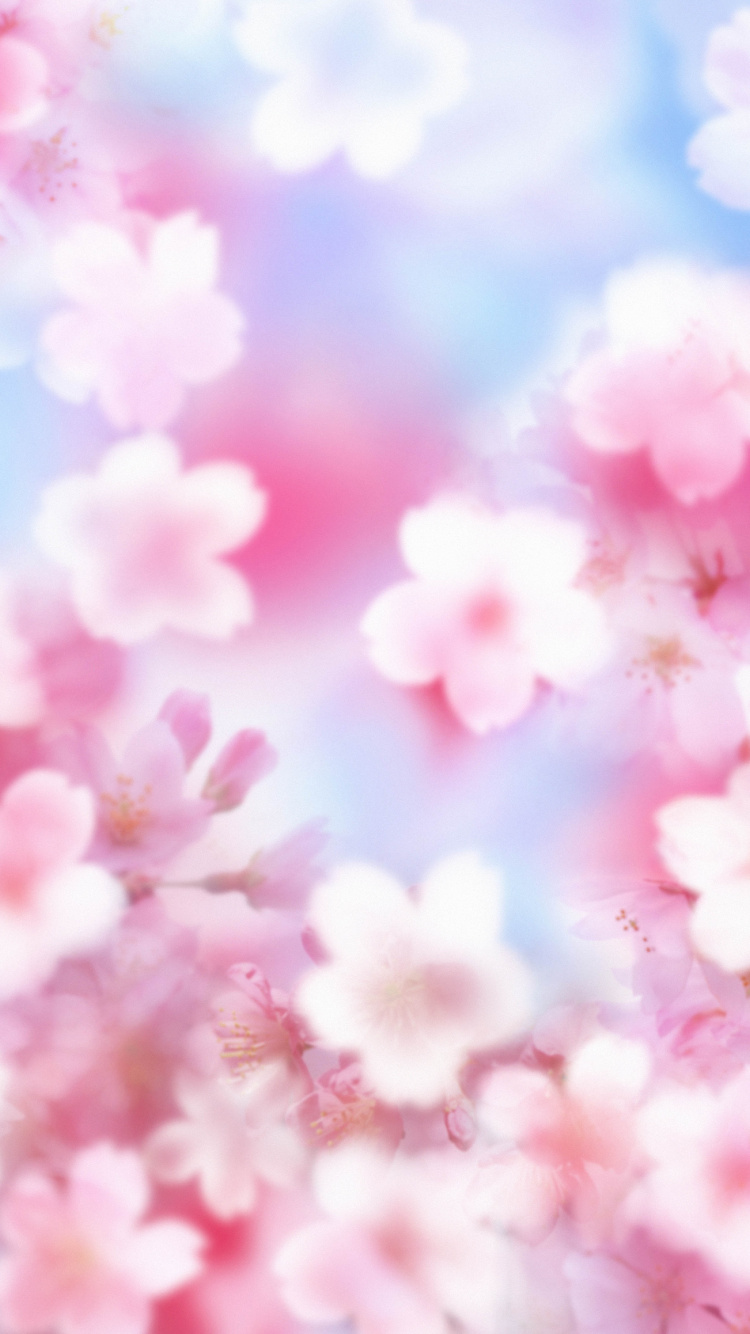 Fleur de Cerisier Rose Sous Ciel Bleu Pendant la Journée. Wallpaper in 750x1334 Resolution